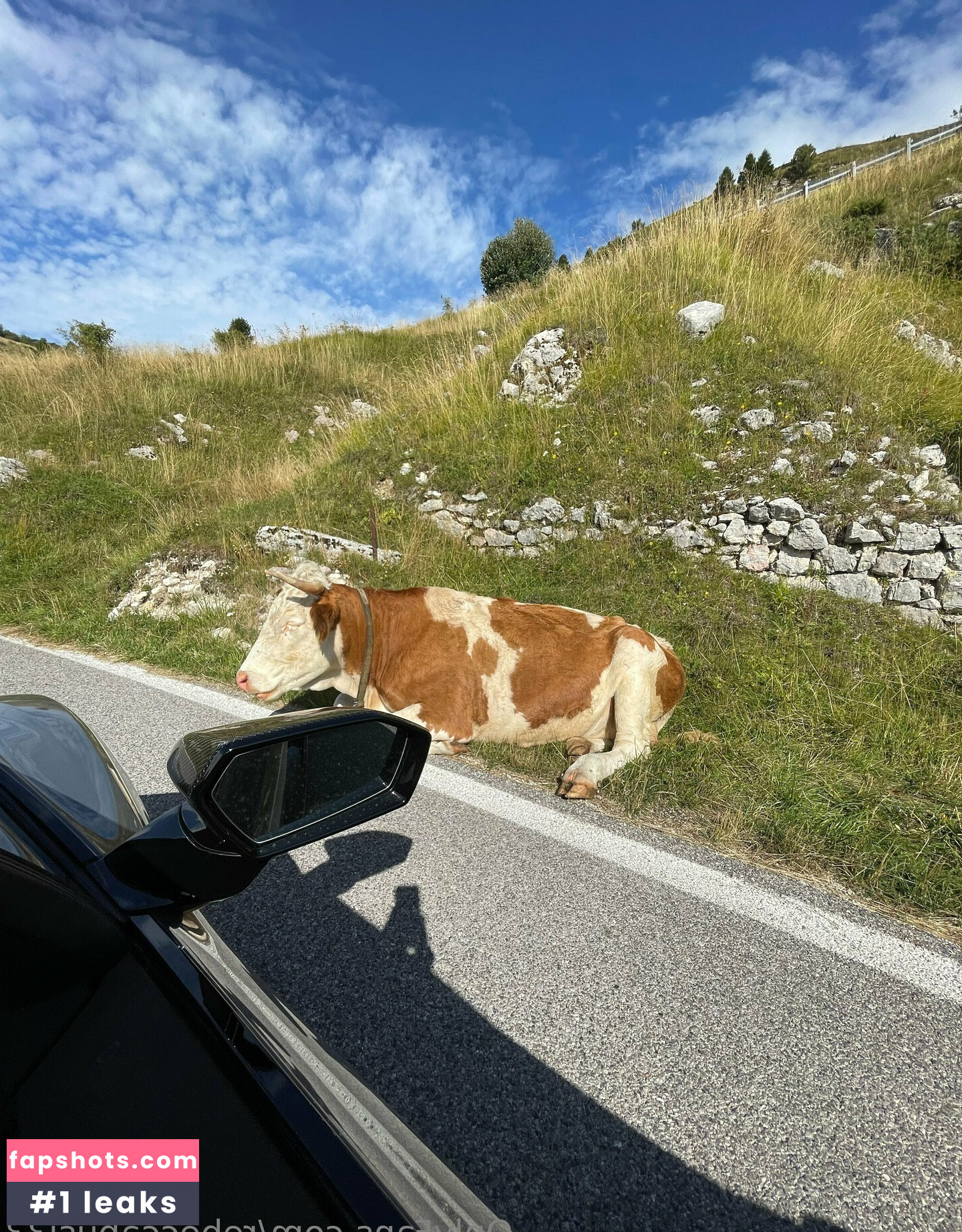 rebeccabusi33 gallery photo #8