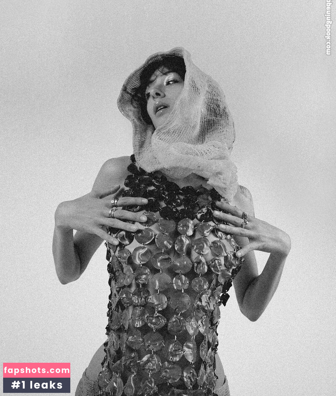 red.goldenretriever gallery photo #5