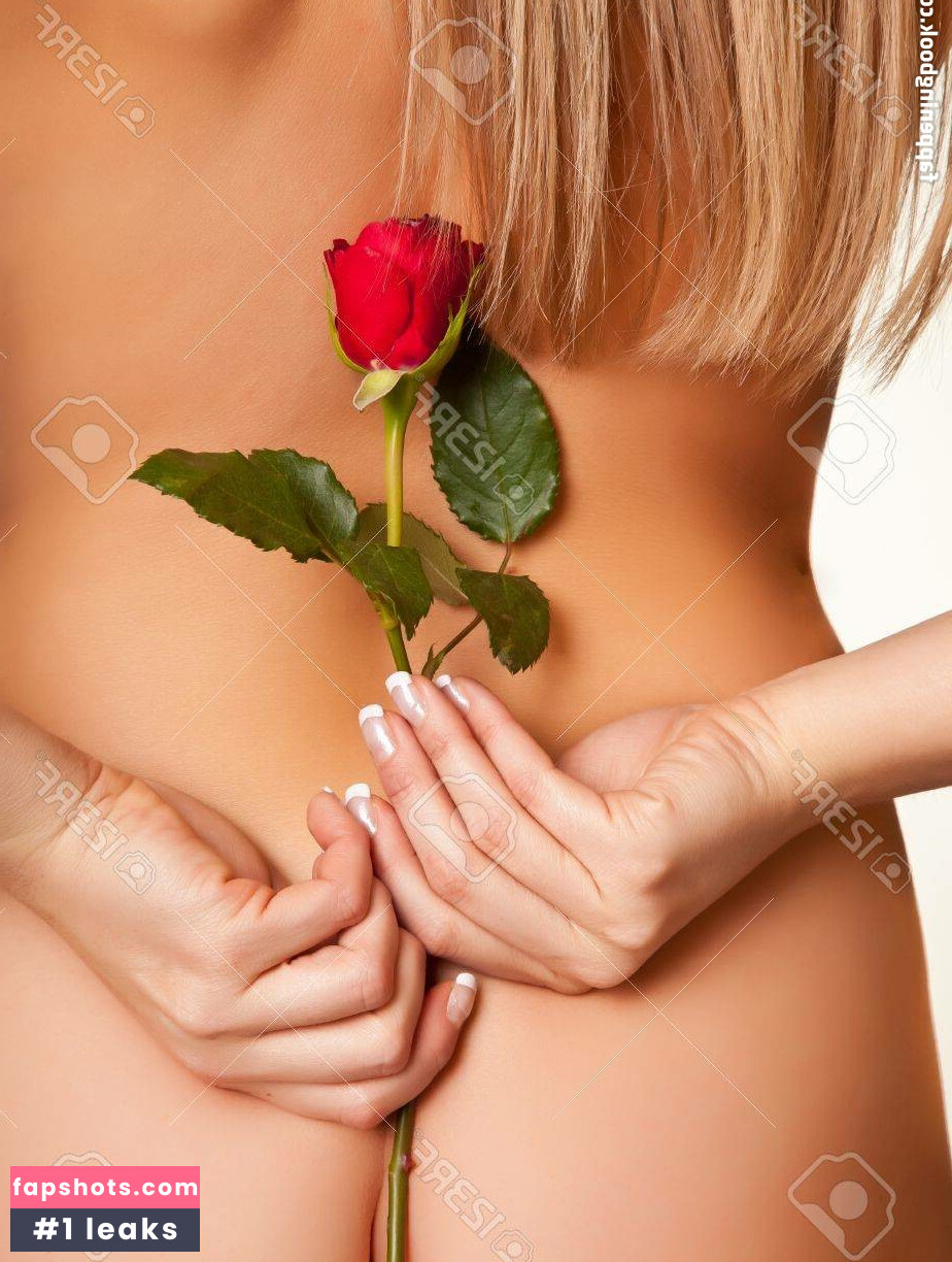 Red Rose gallery photo #13