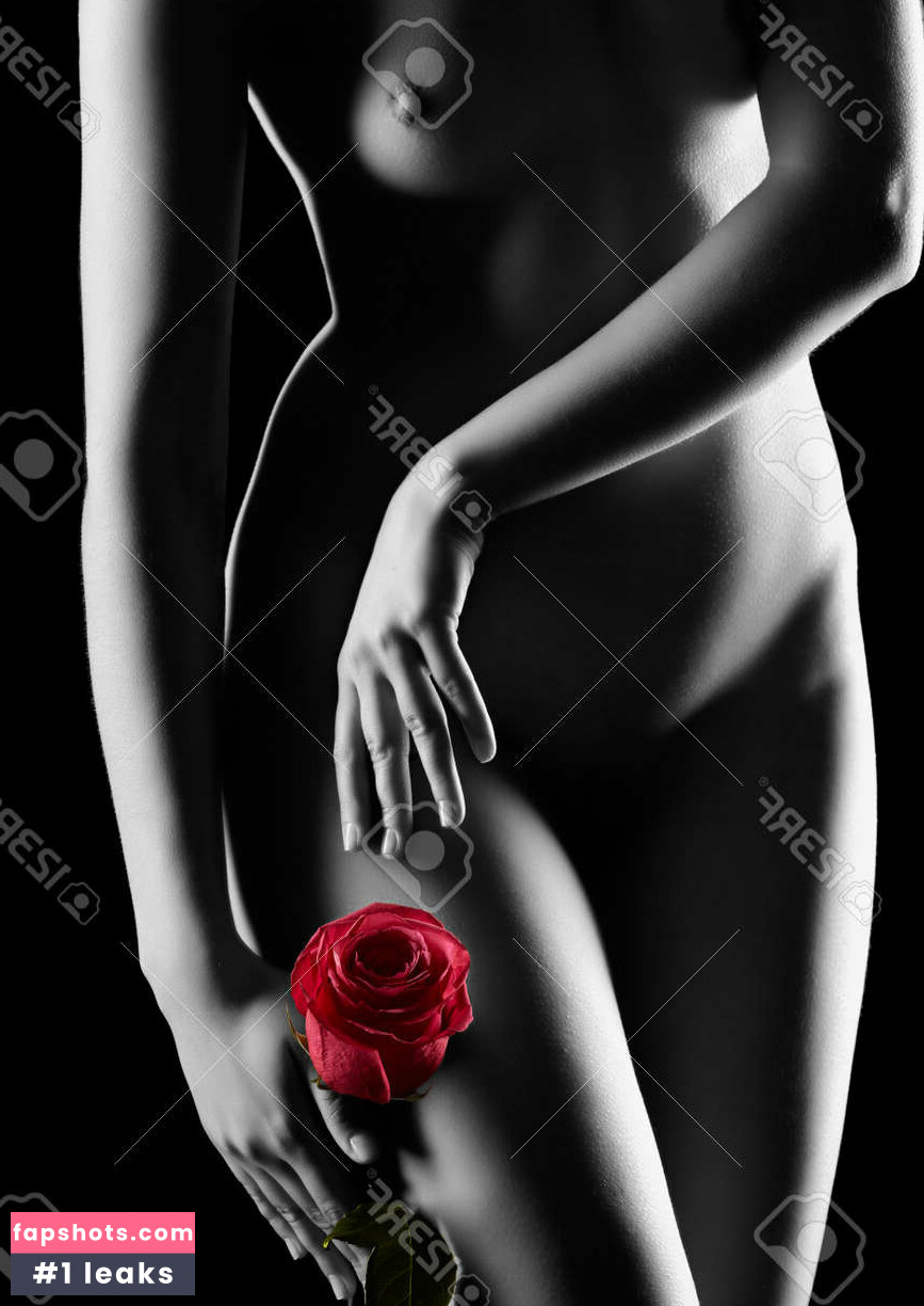 Red Rose gallery photo #7