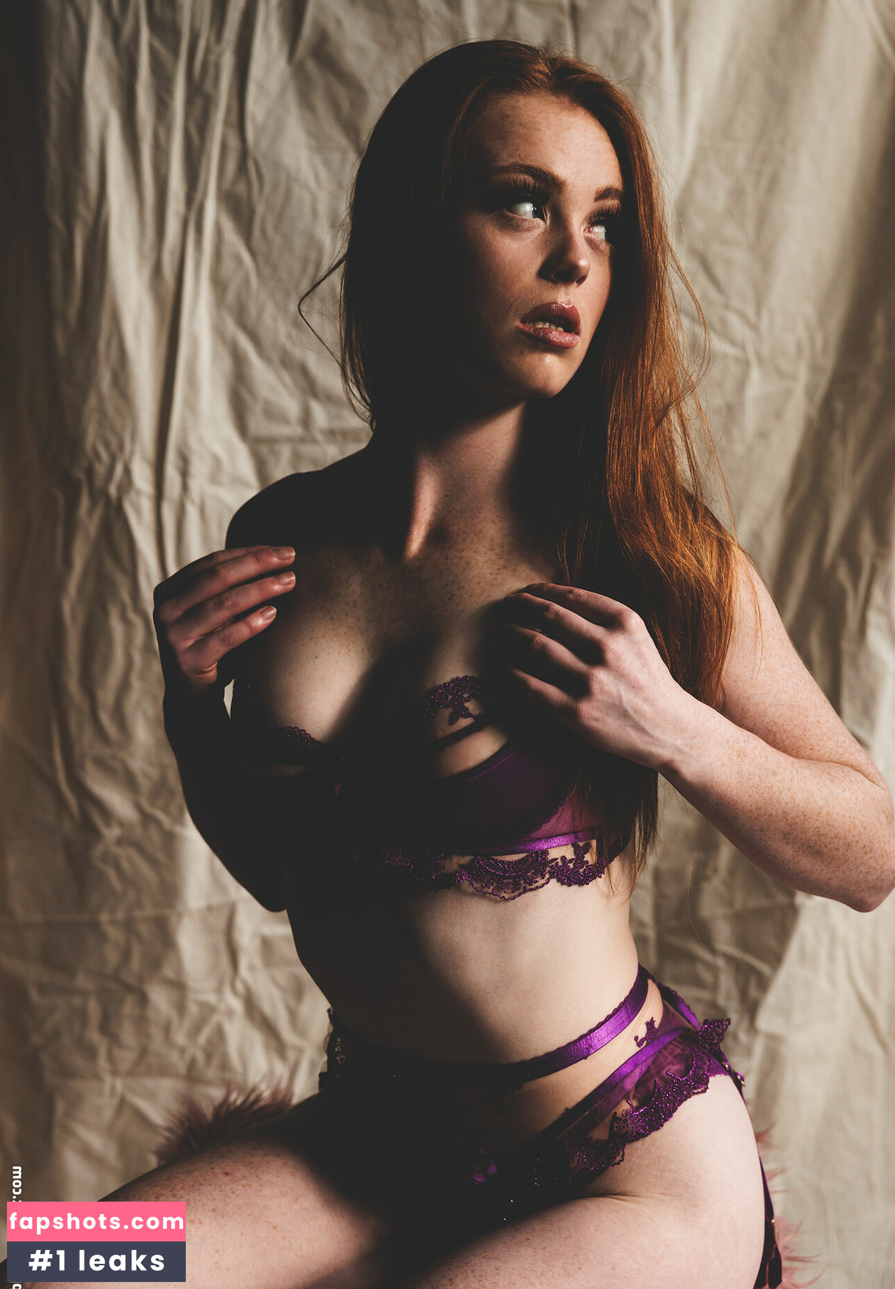 Redalertfox gallery photo #3