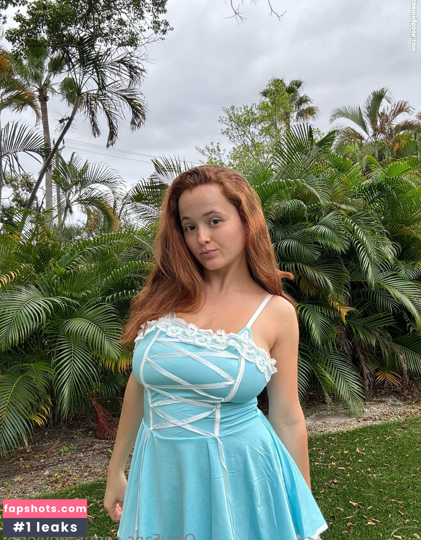 redevieetv gallery photo #12