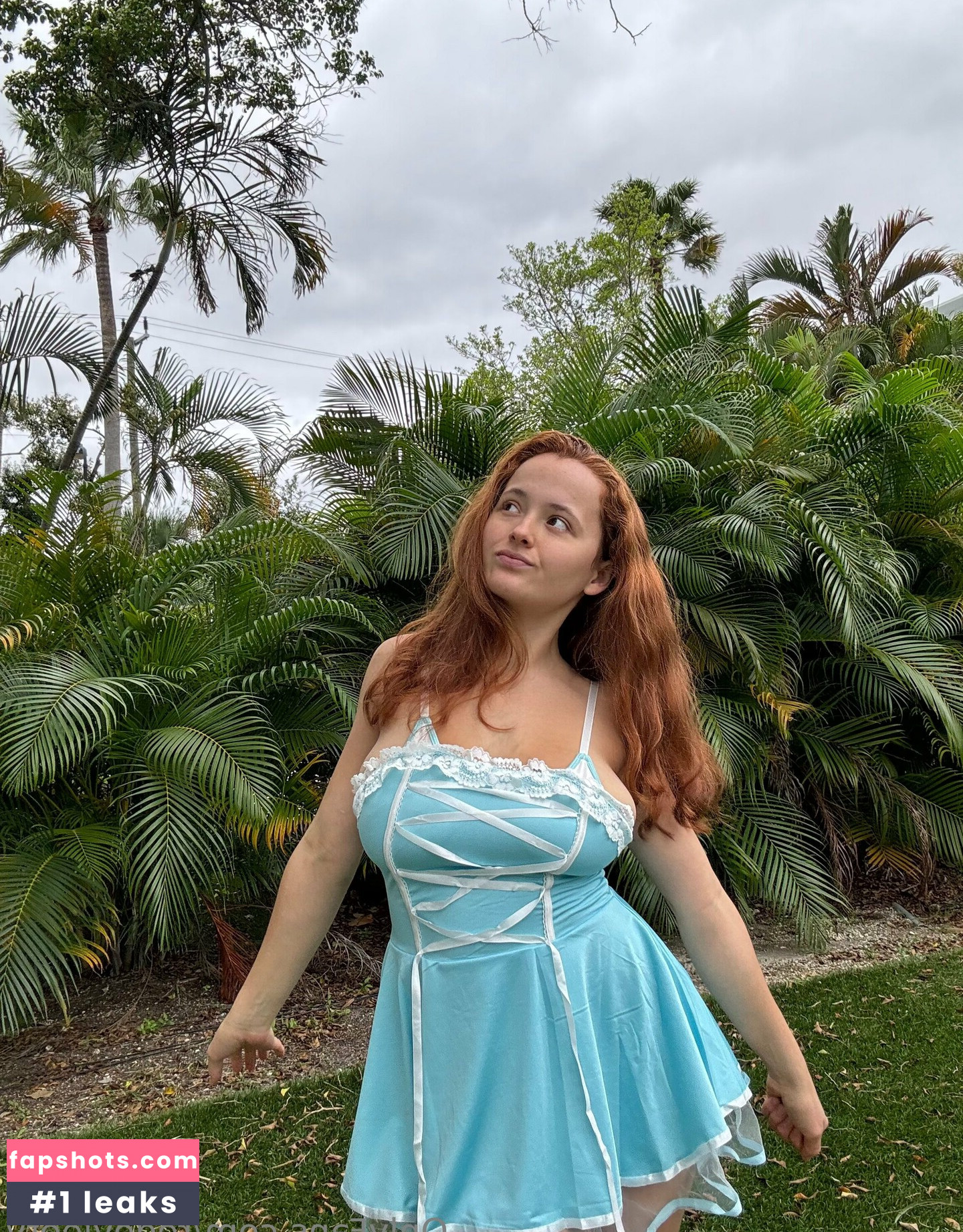 redevieetv gallery photo #26