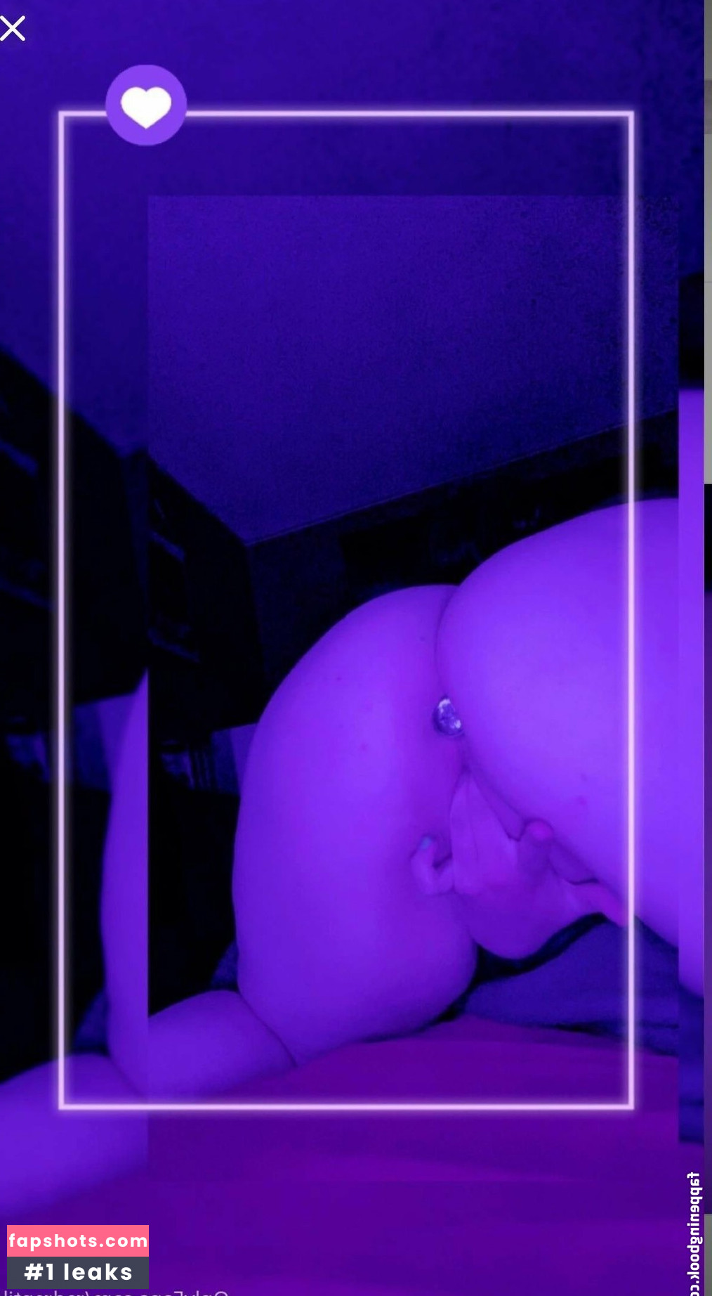 redreptile gallery photo #24