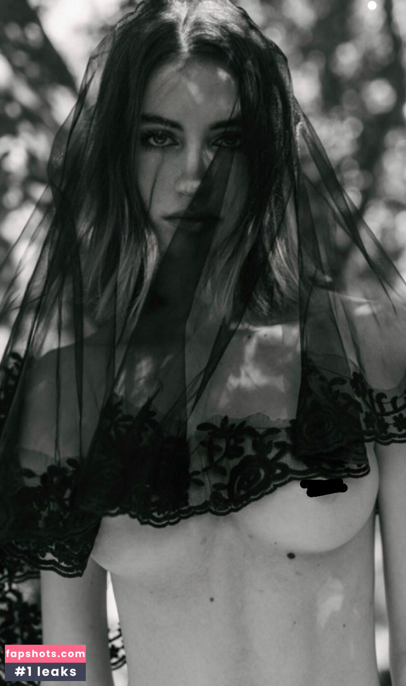 Reese Taylor gallery photo #9