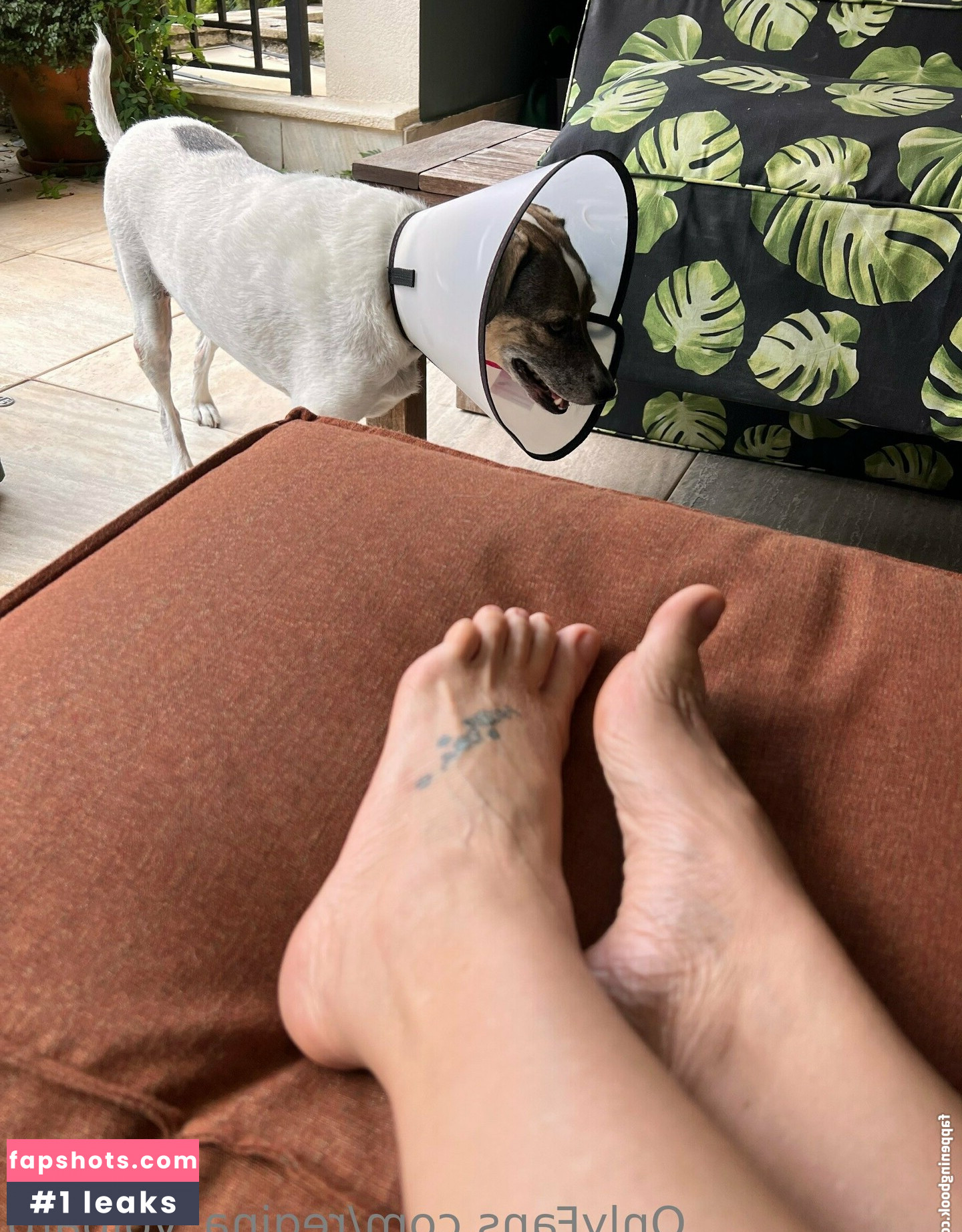 Regina Volpato gallery photo #50