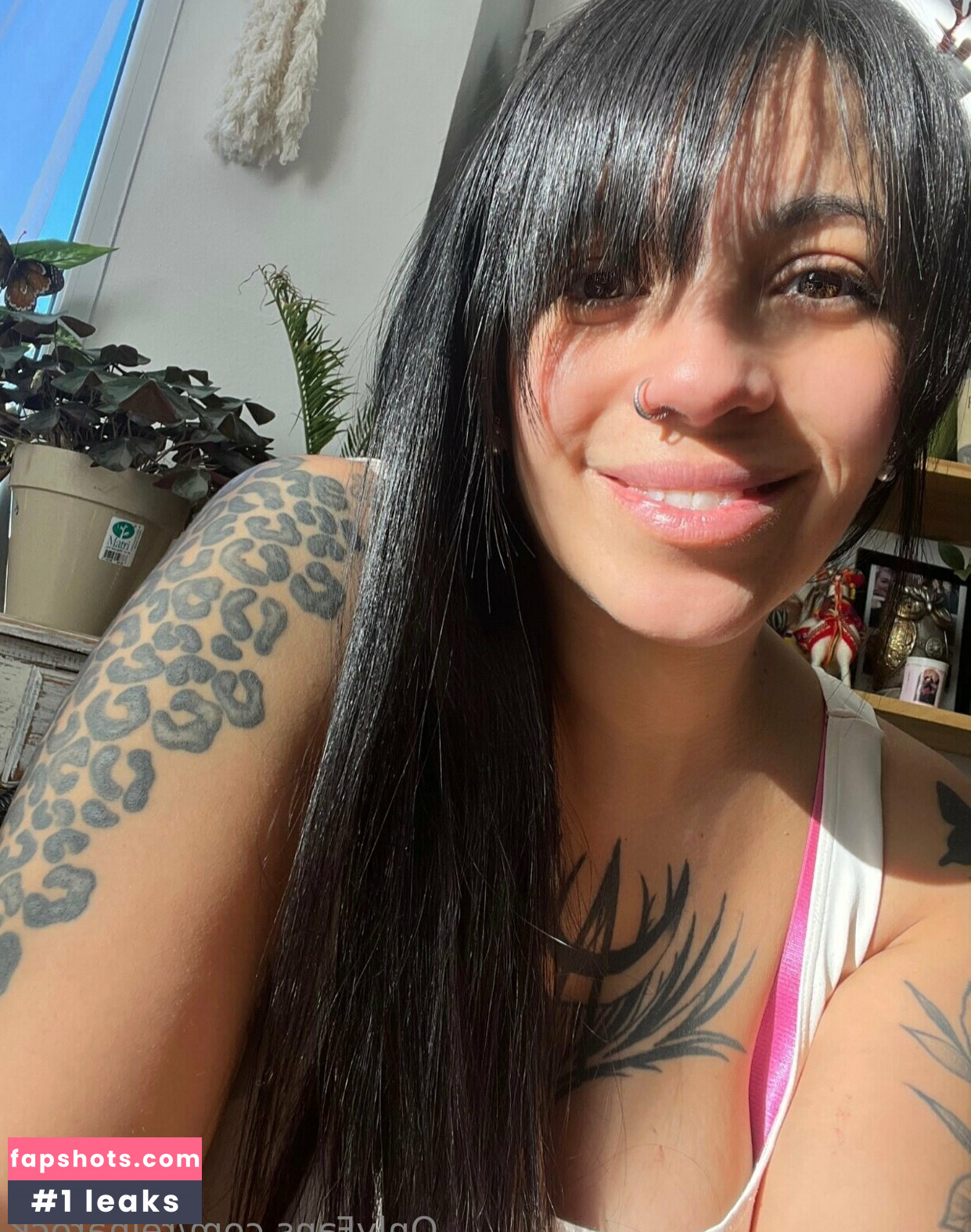 reinarock gallery photo #8