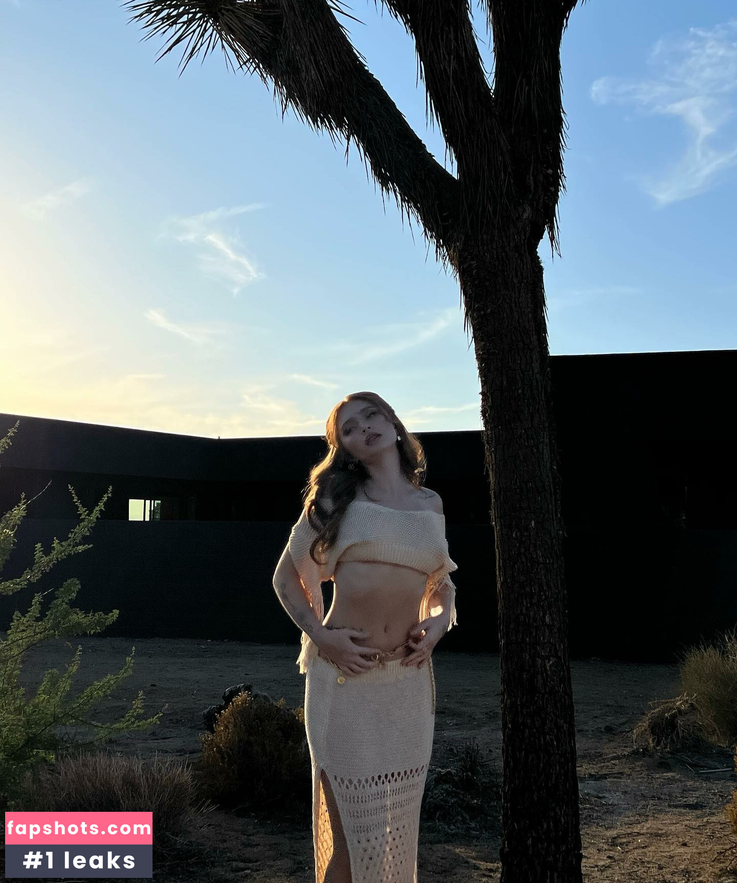 Renatarii gallery photo #50