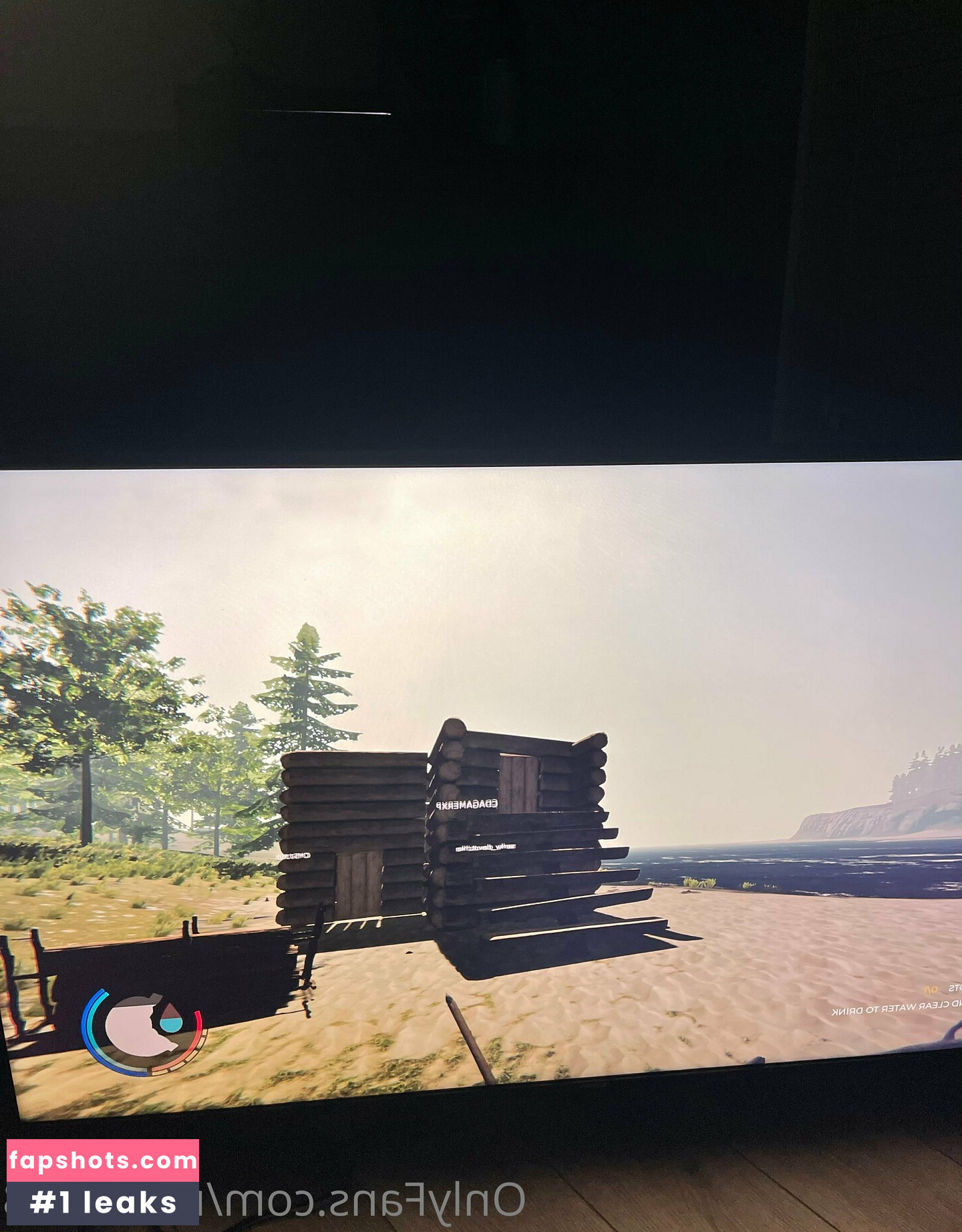 renee808 gallery photo #8