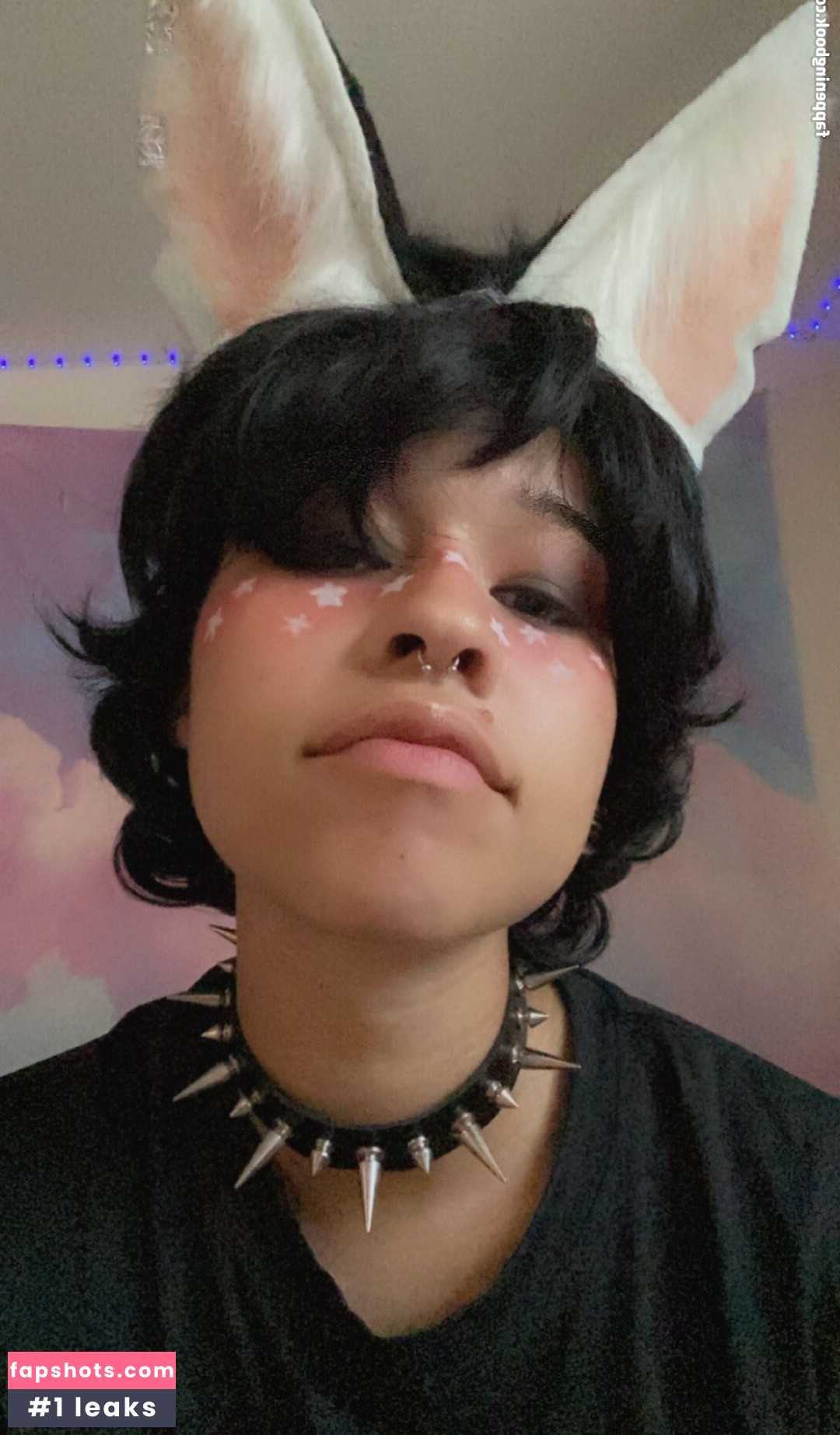 renpuppy gallery photo #11