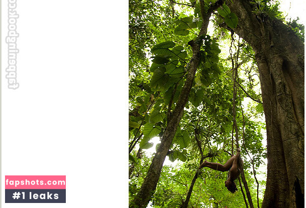 Revista Trip Nude Leaks OnlyFans Photos #117 - LeakJerk