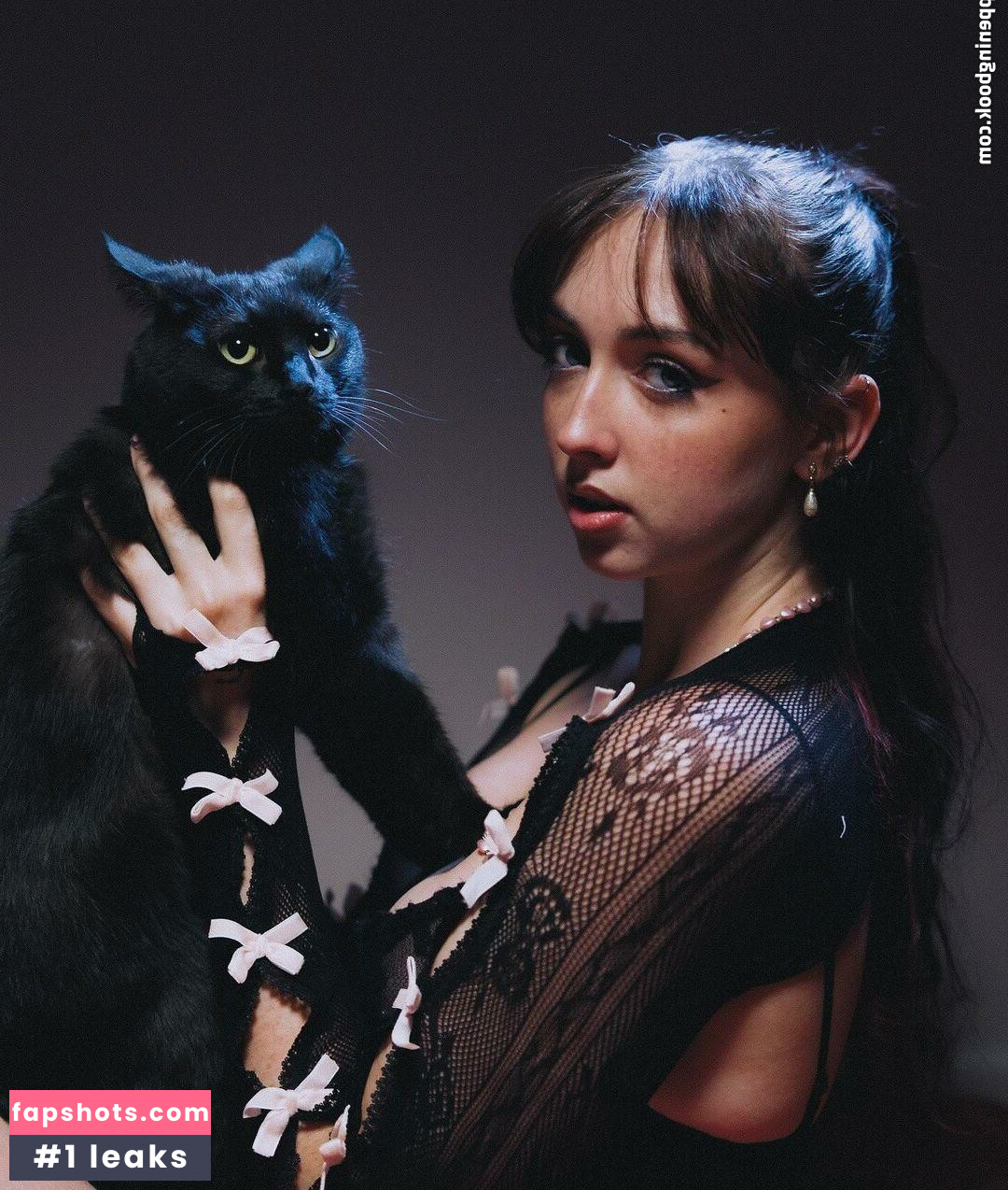 rexxtown gallery photo #8