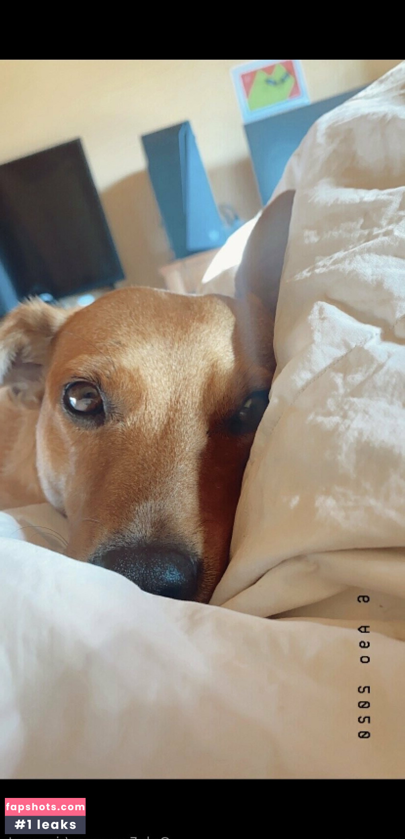 riannast gallery photo #2