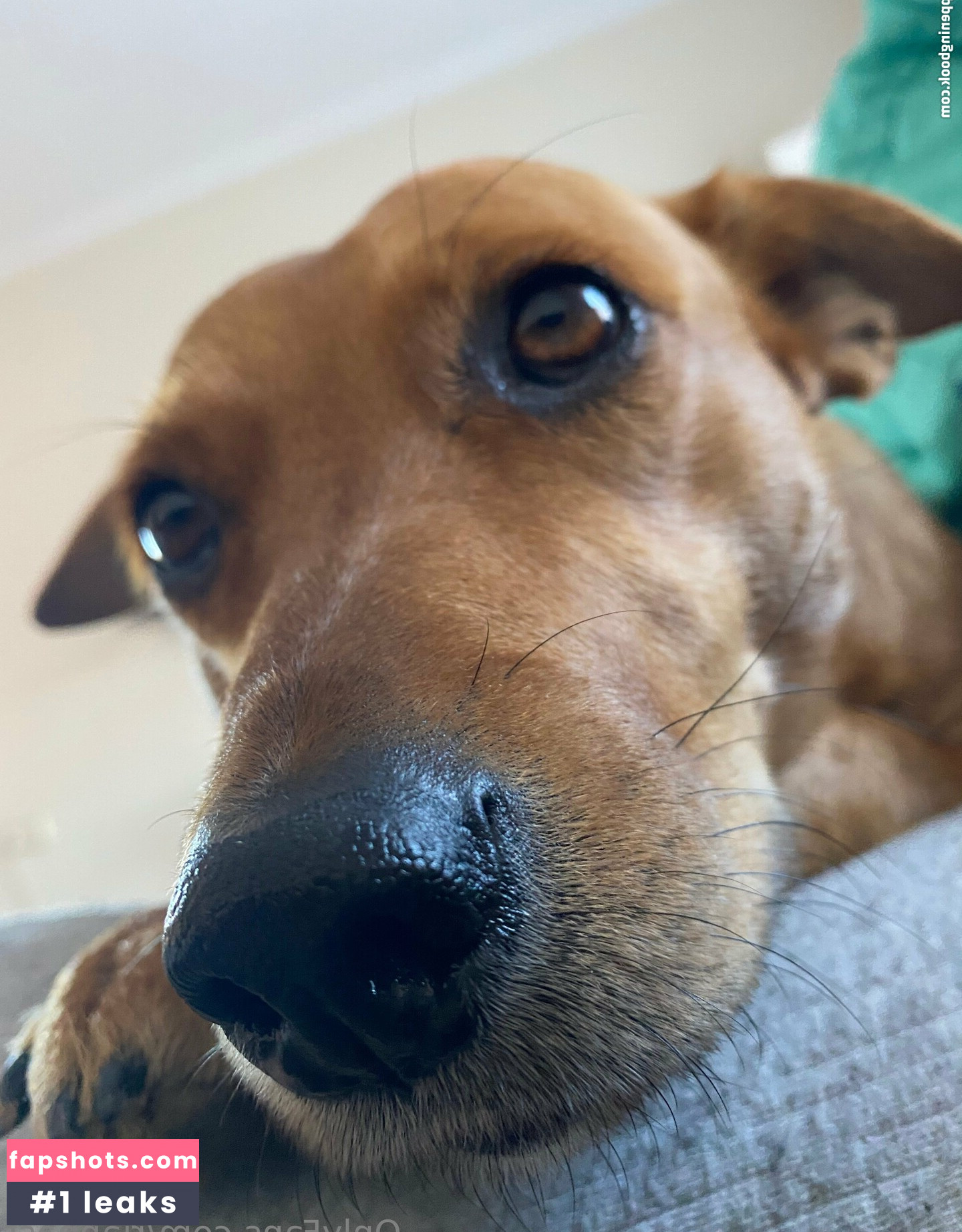 riannast gallery photo #14