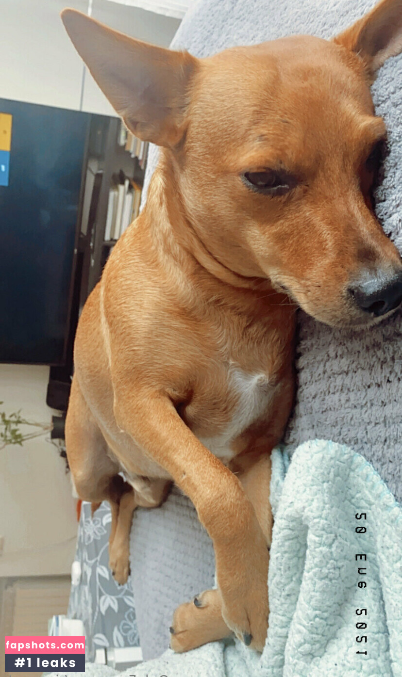 riannast gallery photo #16