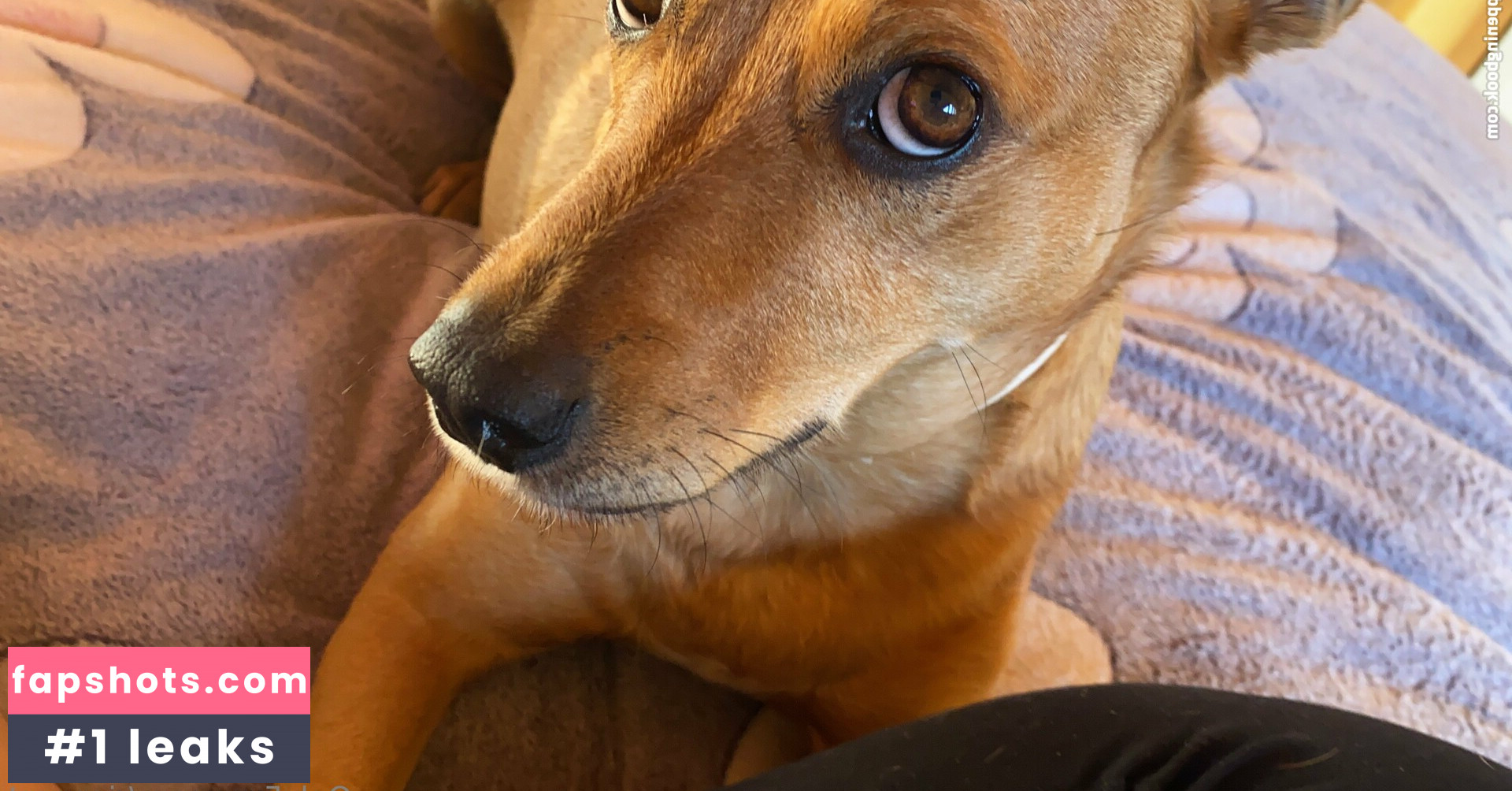 riannast gallery photo #6