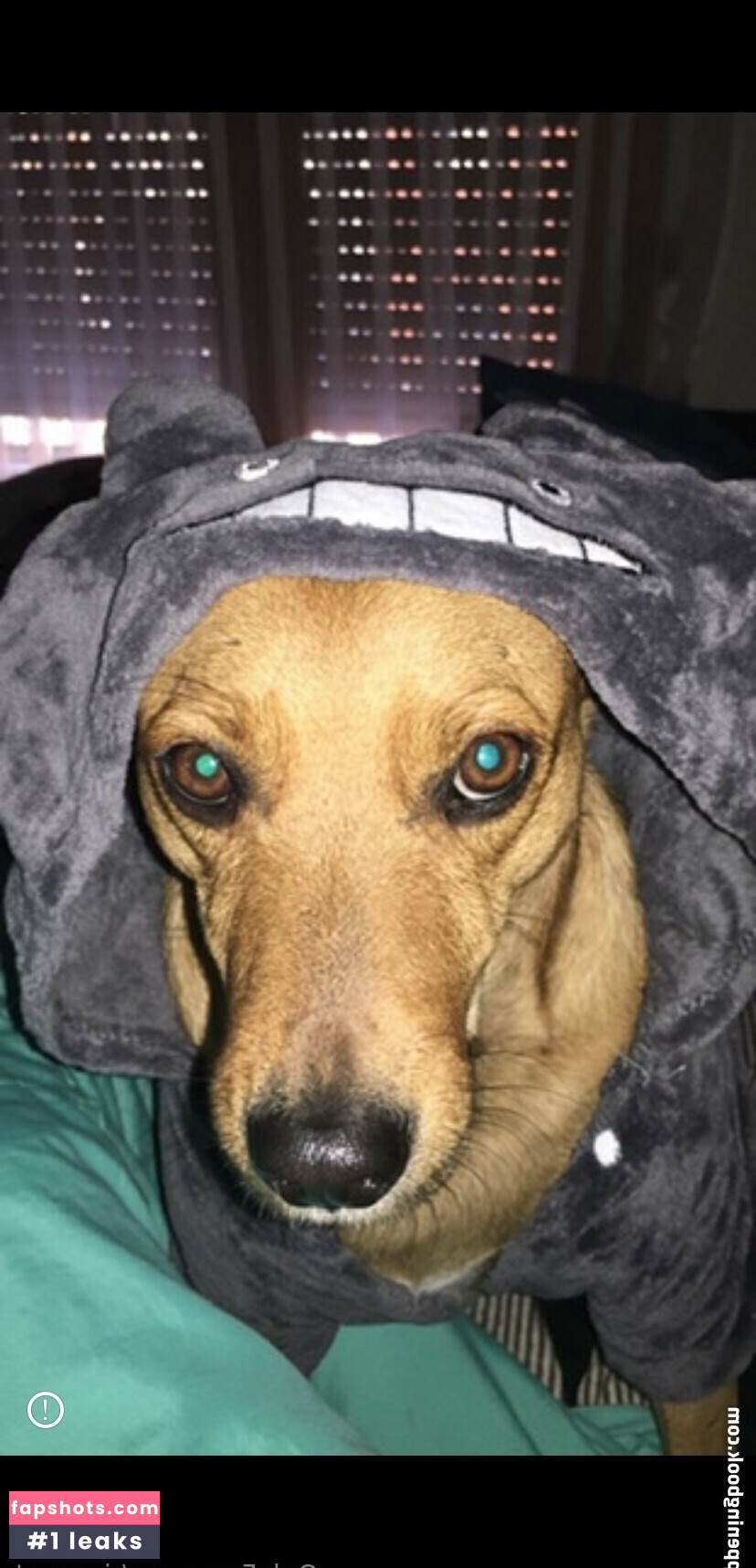 riannast gallery photo #7