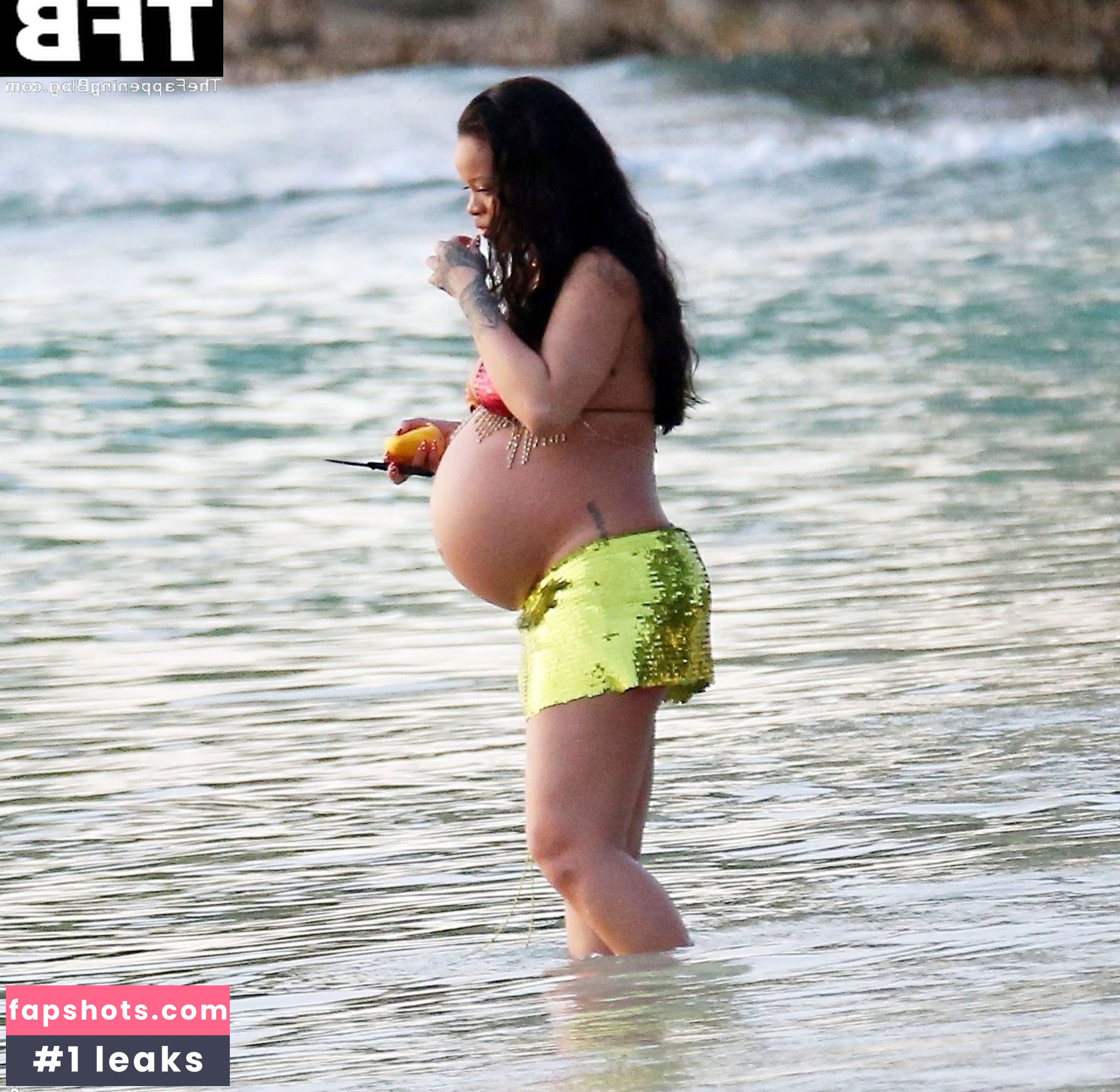 Rihanna gallery photo #1904