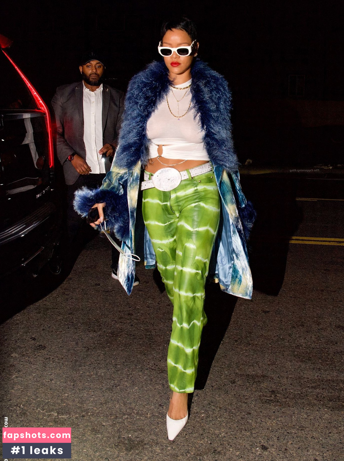 Rihanna gallery photo #2344