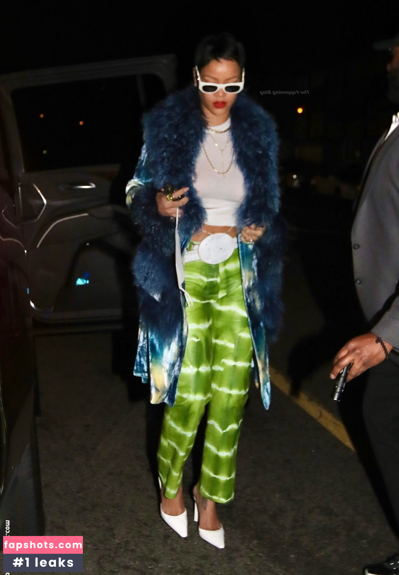Rihanna gallery photo #2352