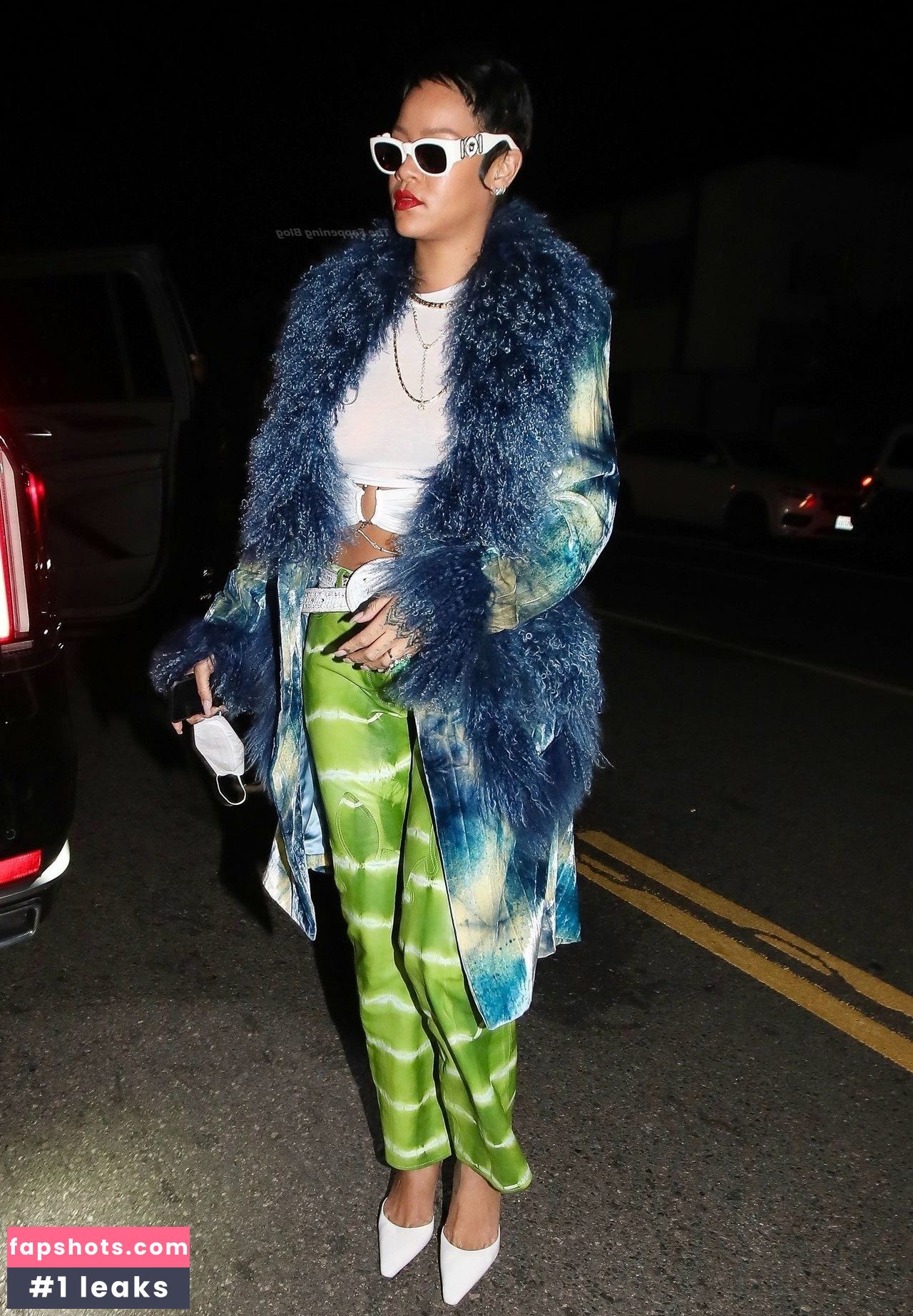 Rihanna gallery photo #2355