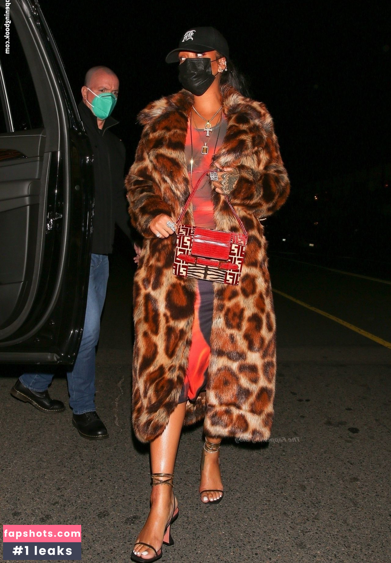 Rihanna gallery photo #2457