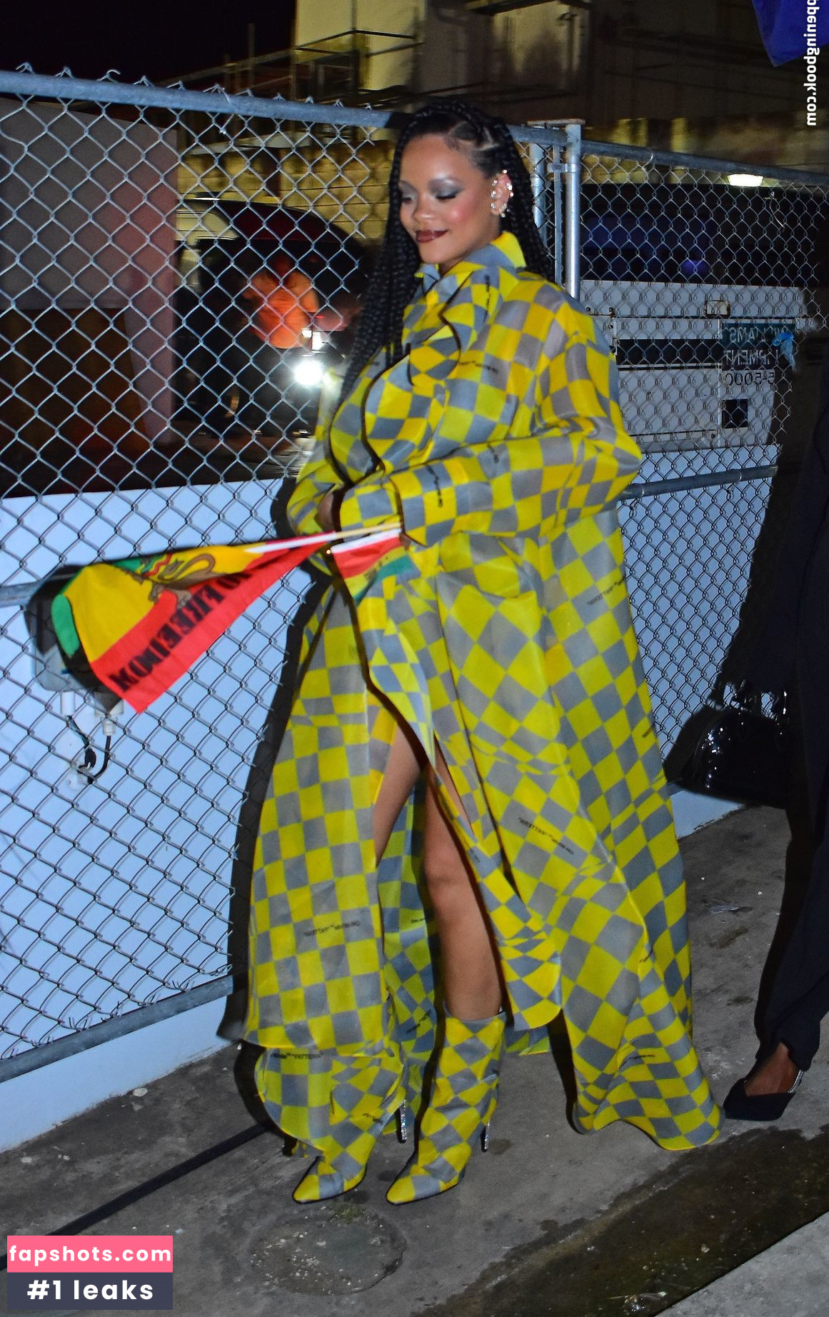 Rihanna gallery photo #2640