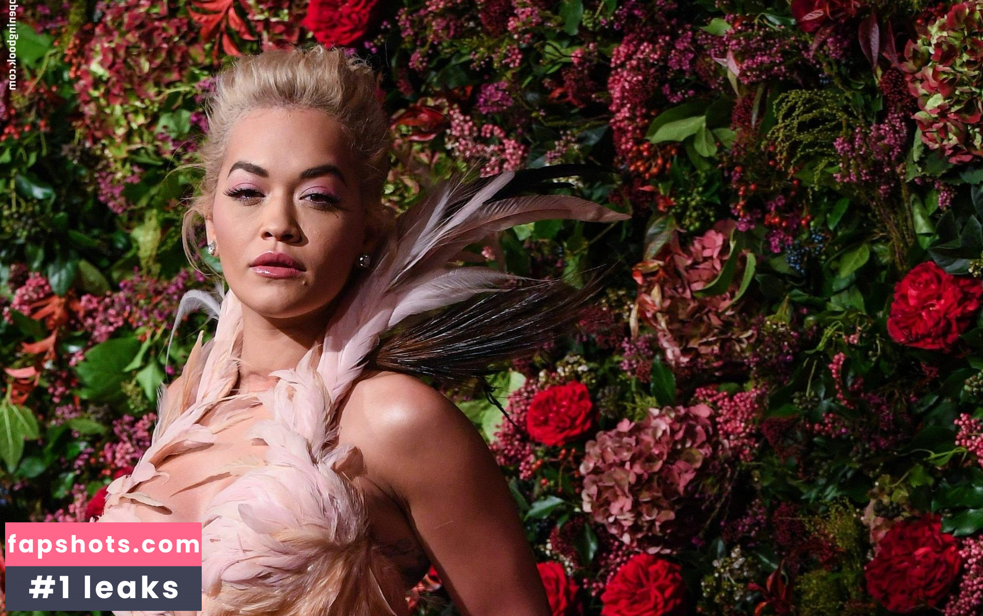 Rita Ora gallery photo #3763