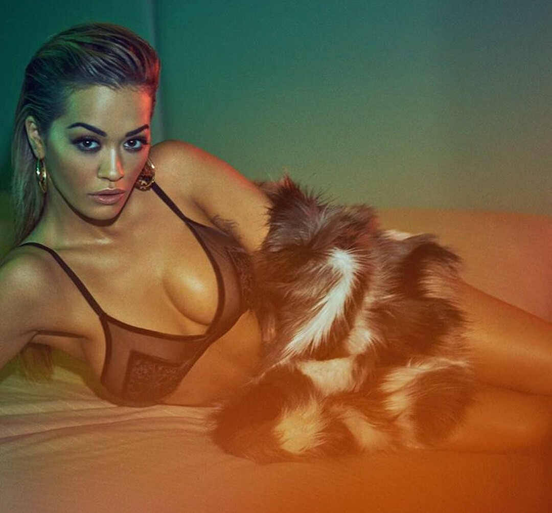 rita-ora gallery photo #2694