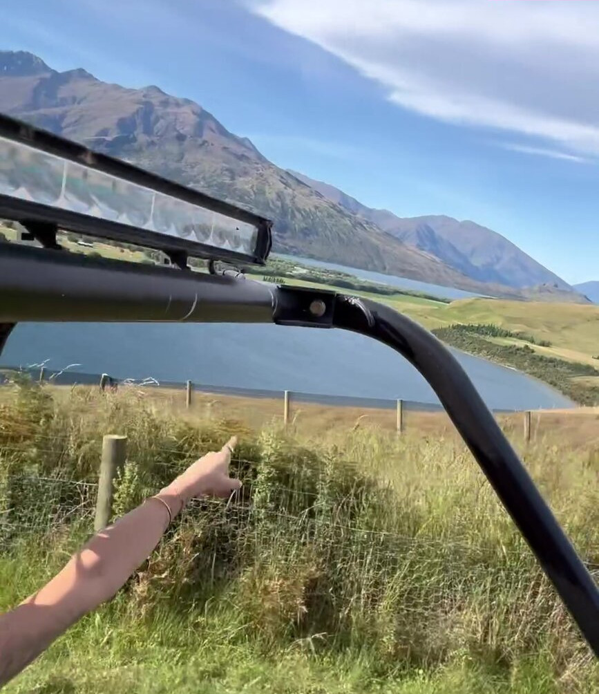 rita-ora gallery photo #3323