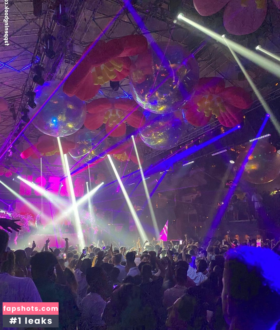 Rita Senatore gallery photo #9