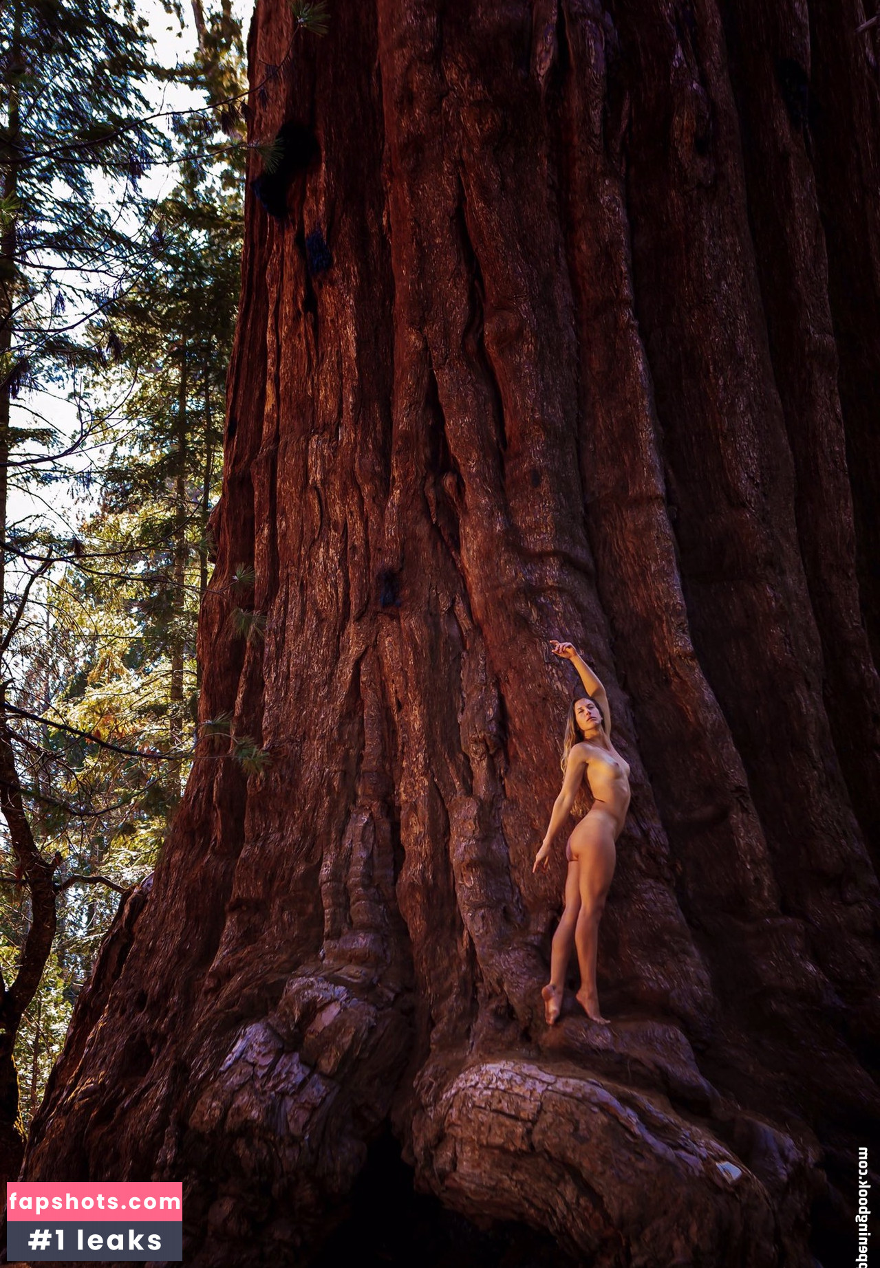 rivkalov gallery photo #6