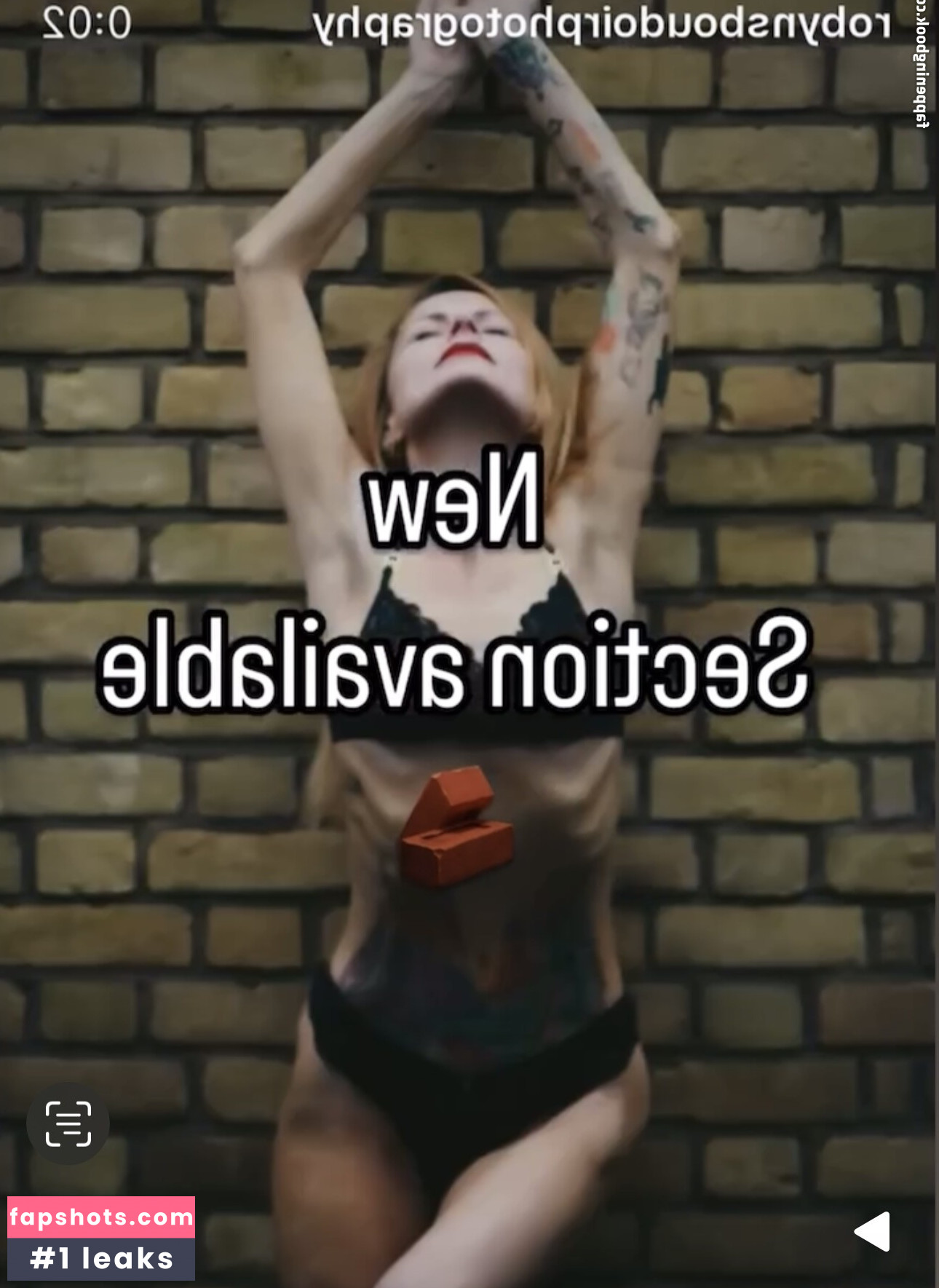 Robyn Allan gallery photo #2