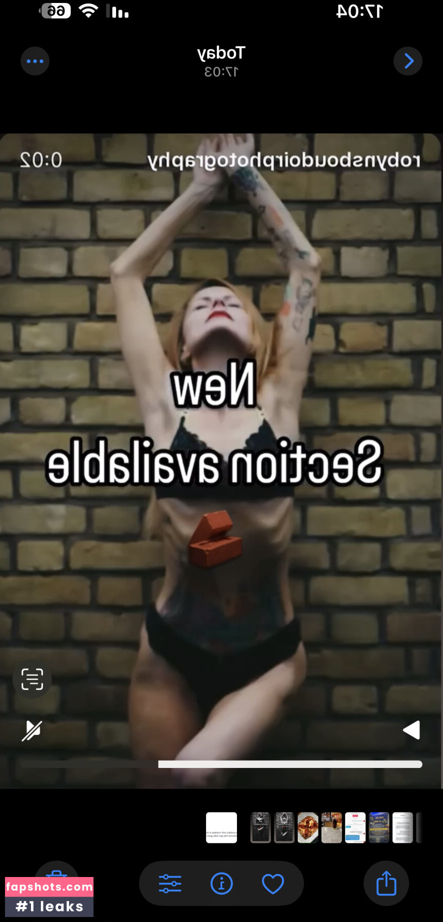 Robyn Allan gallery photo #3