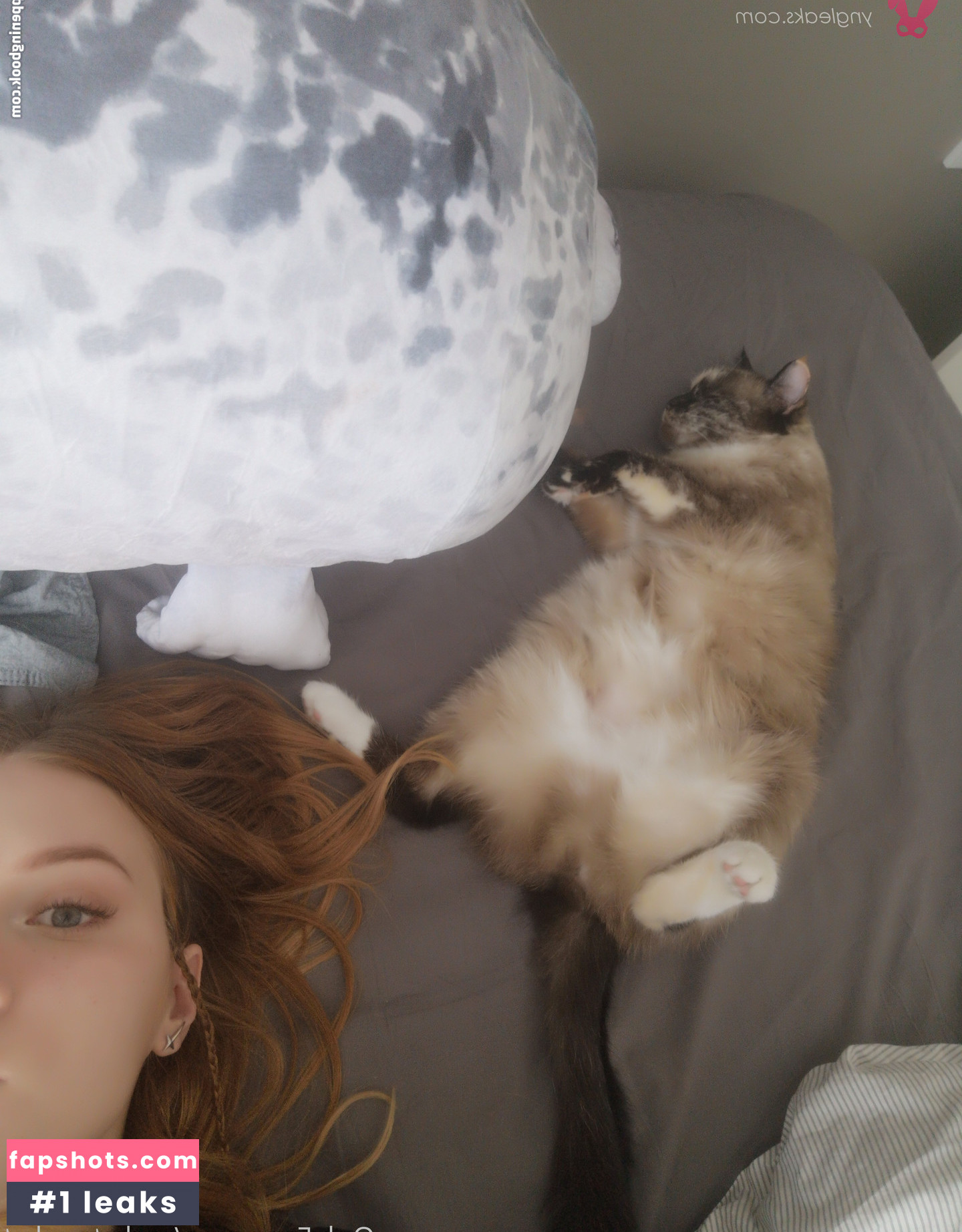 rocketpocket gallery photo #52