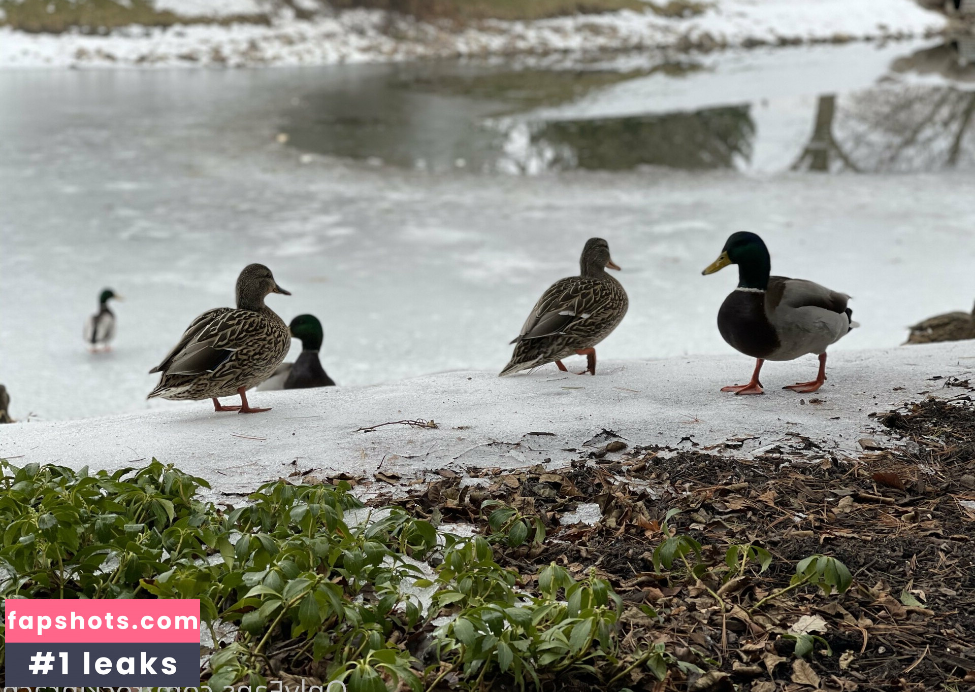 rockinrach Nude Leaks OnlyFans Photos #25 - Fapshots