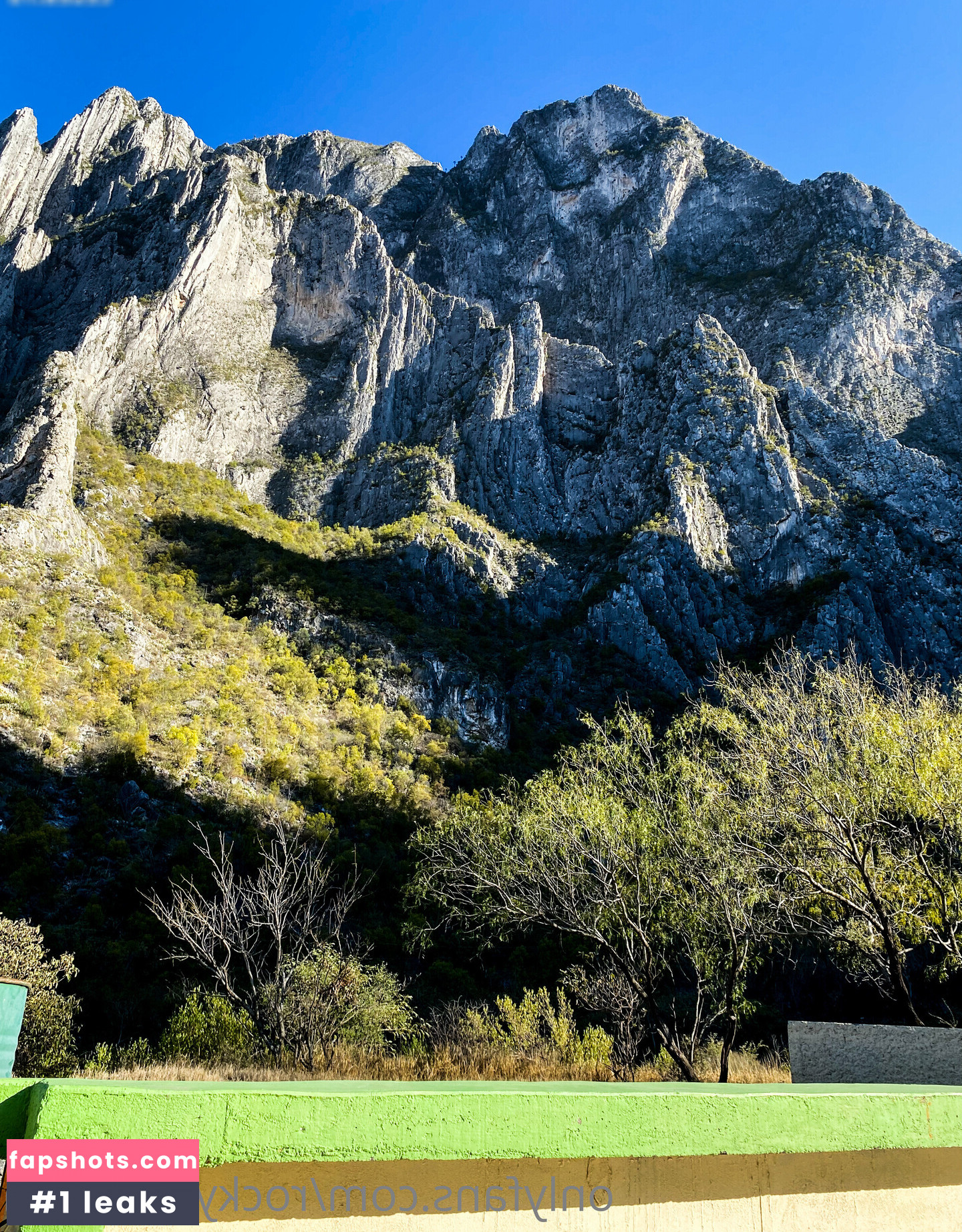 Rocky Emerson - Tall Pornstar gallery photo #7