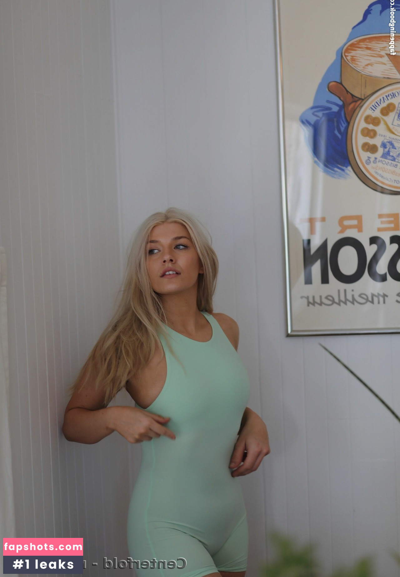 Romeecat gallery photo #20