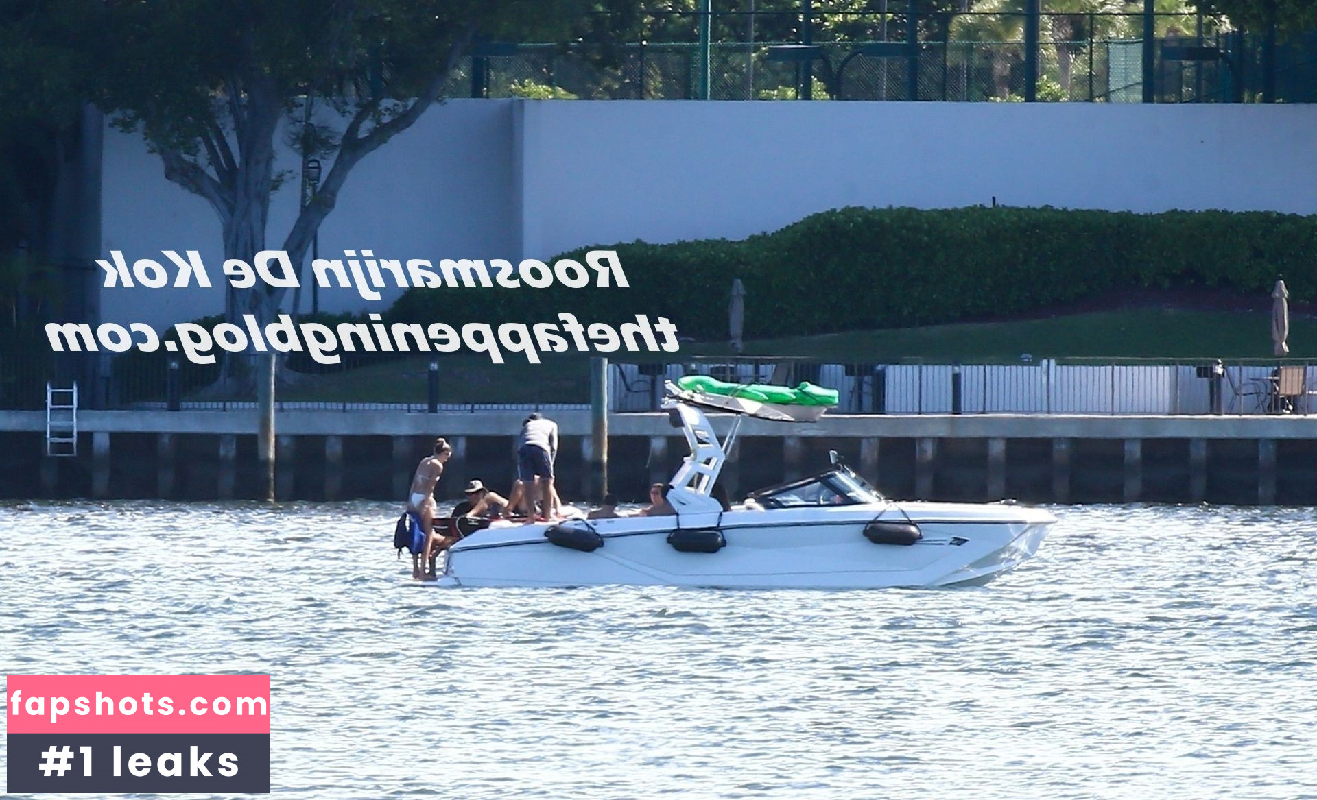 Roosmarijn de Kok gallery photo #37