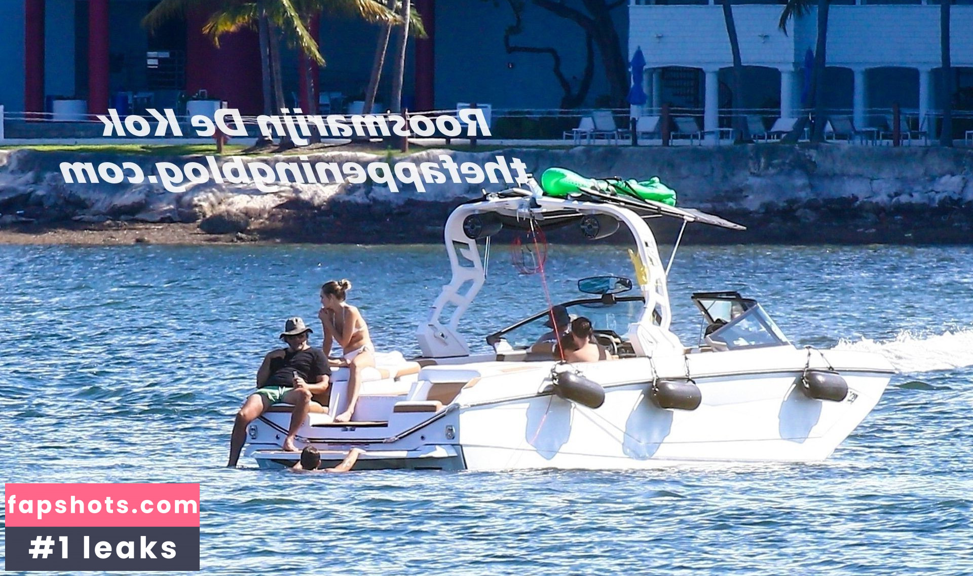 Roosmarijn de Kok gallery photo #46