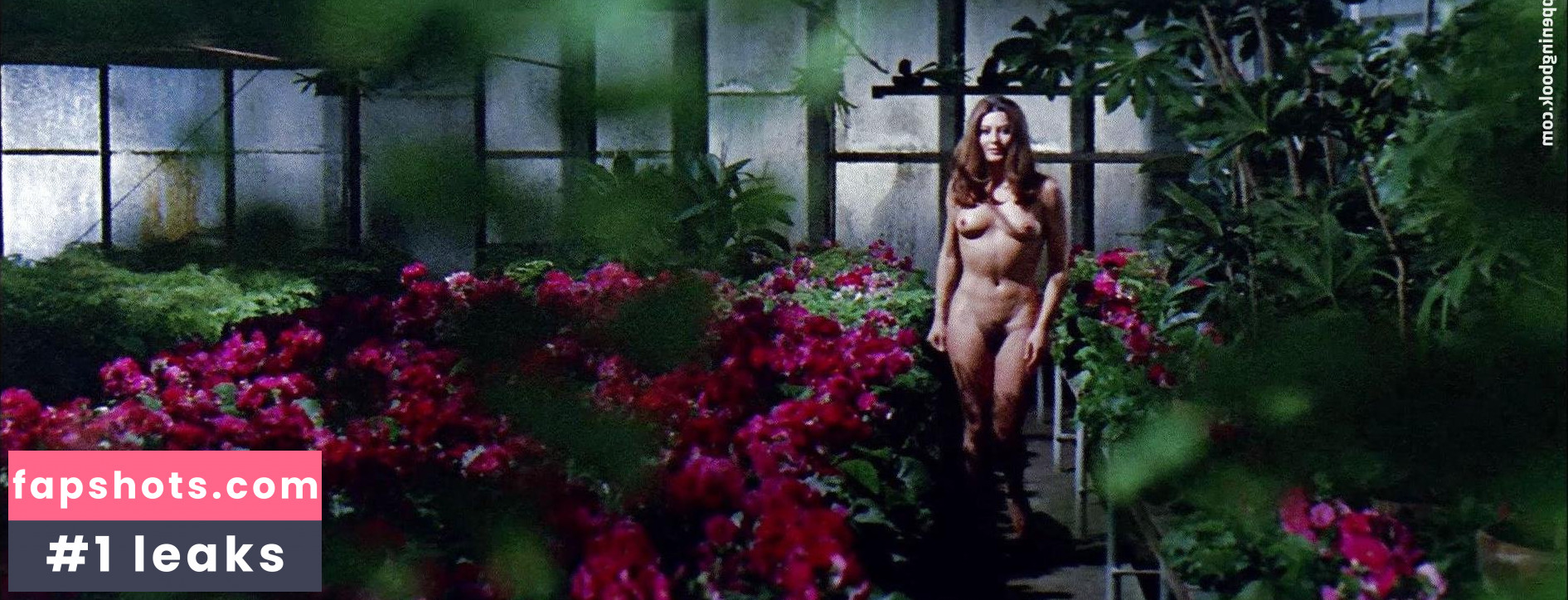 Rosalba Neri gallery photo #12