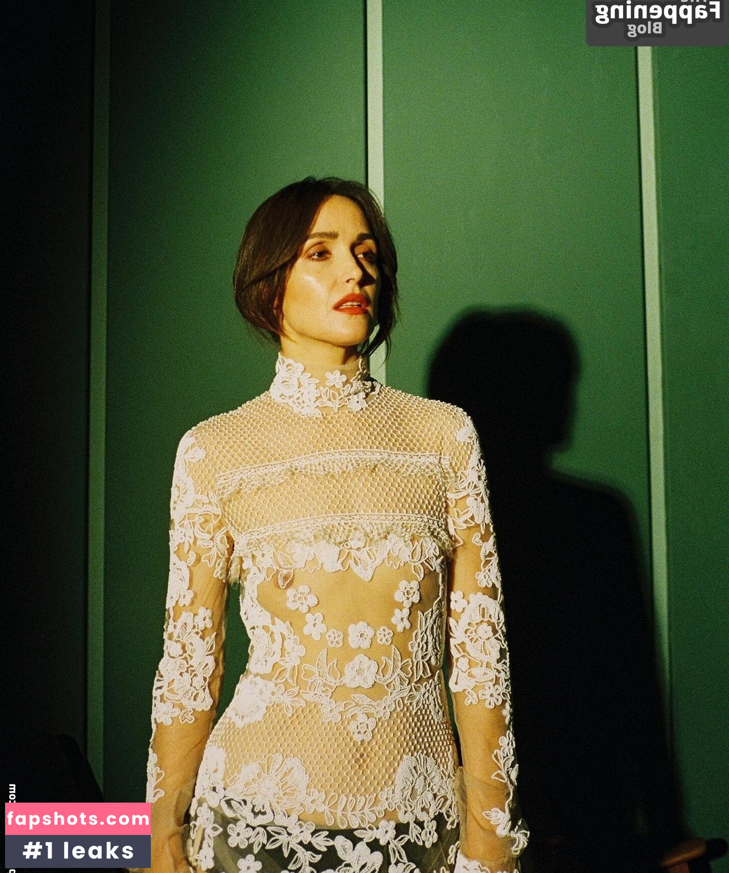 Rose Byrne Nude Leaks OnlyFans Photos #72 - LeakJerk