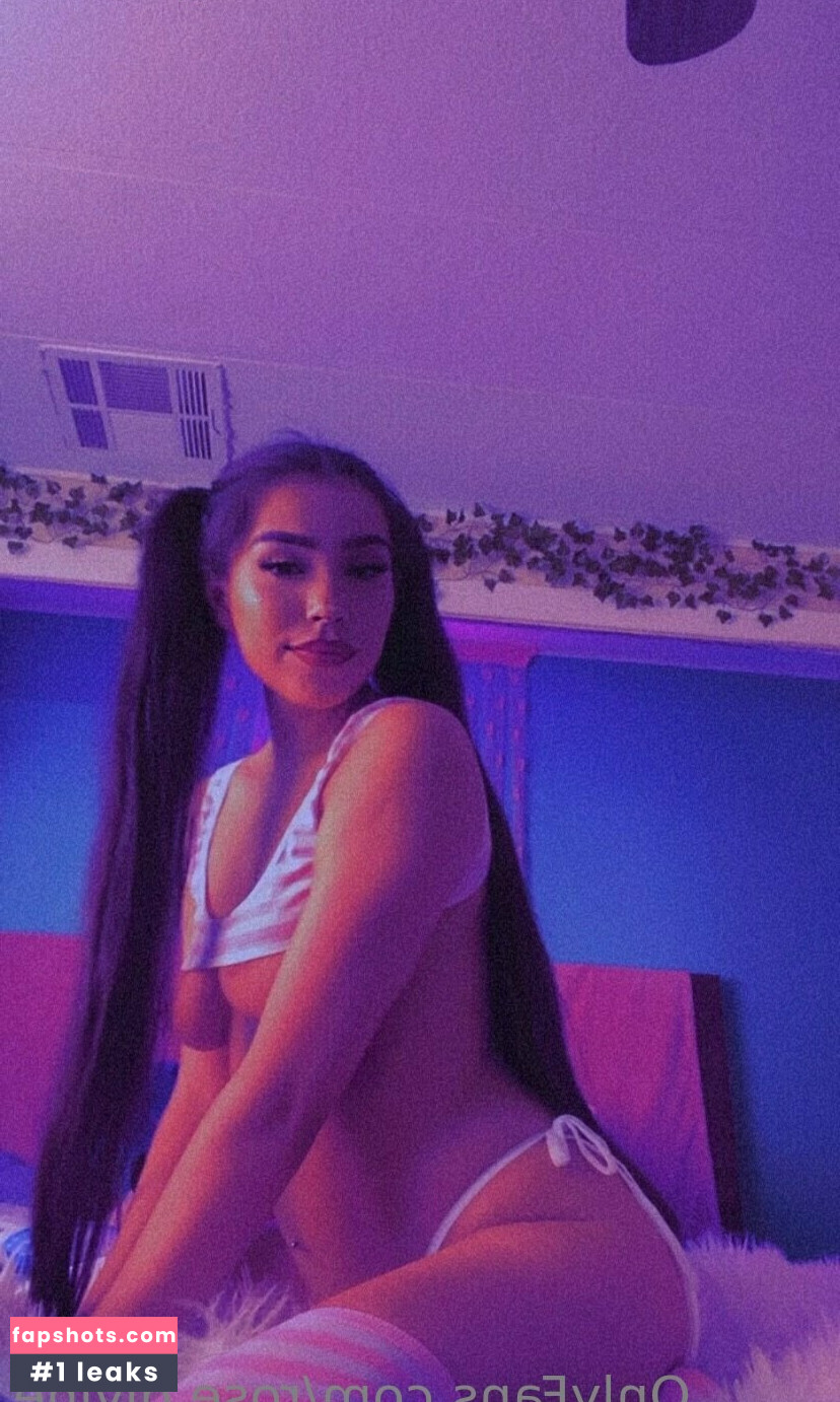 Rose Divine gallery photo #14