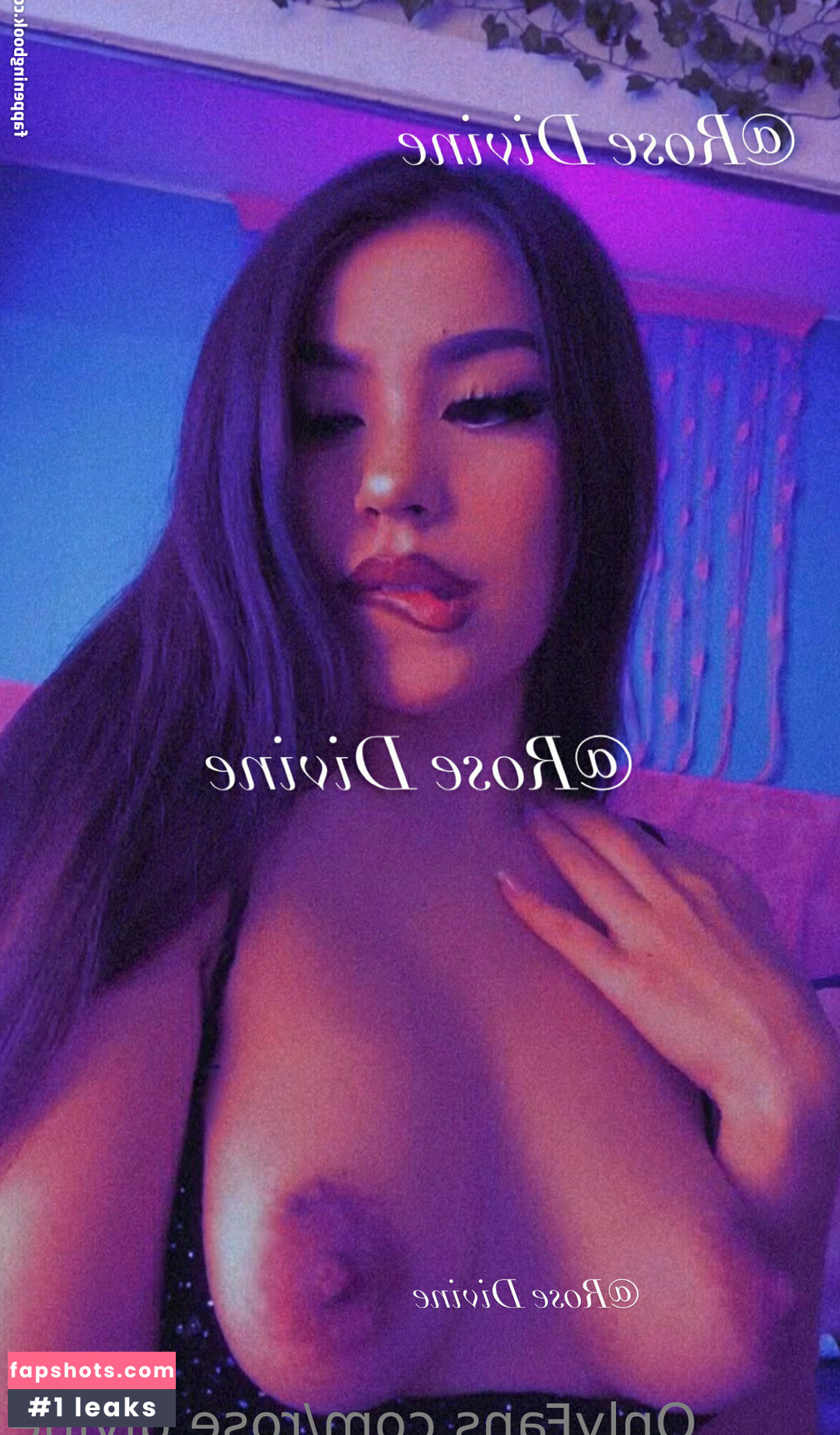 Rose Divine gallery photo #5