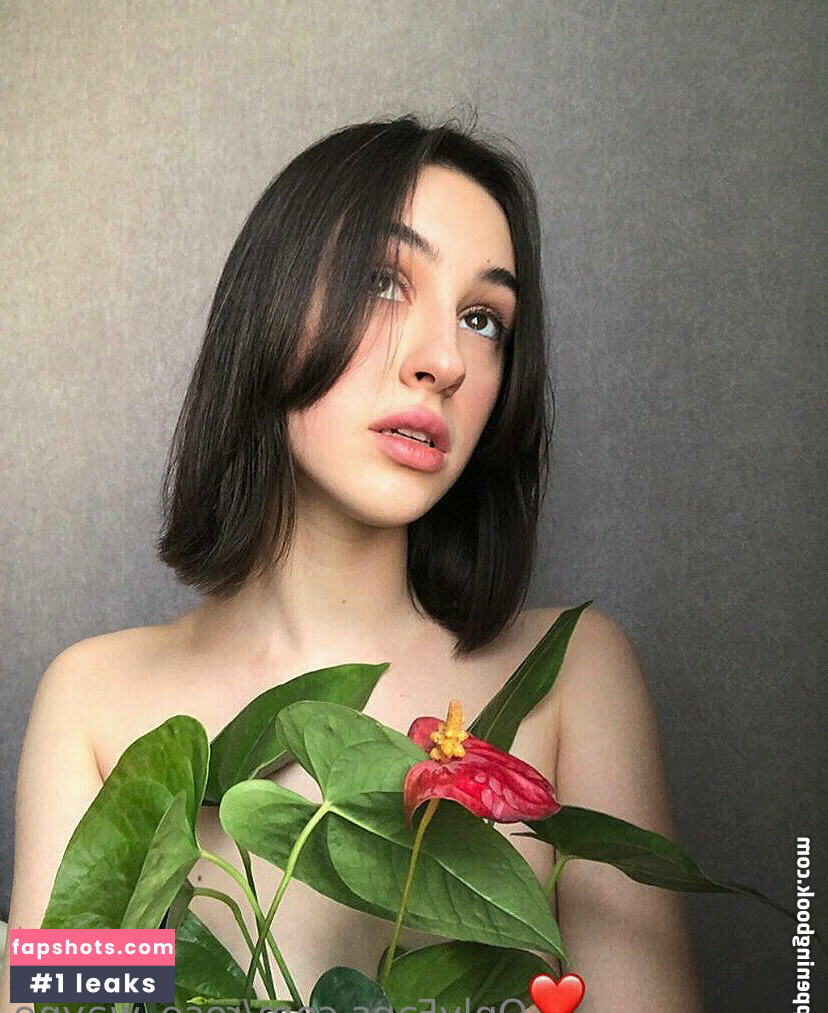 rose_wayne gallery photo #5