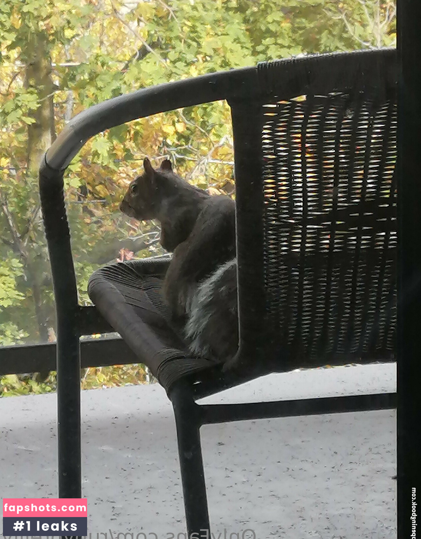 rubyoreilly gallery photo #4