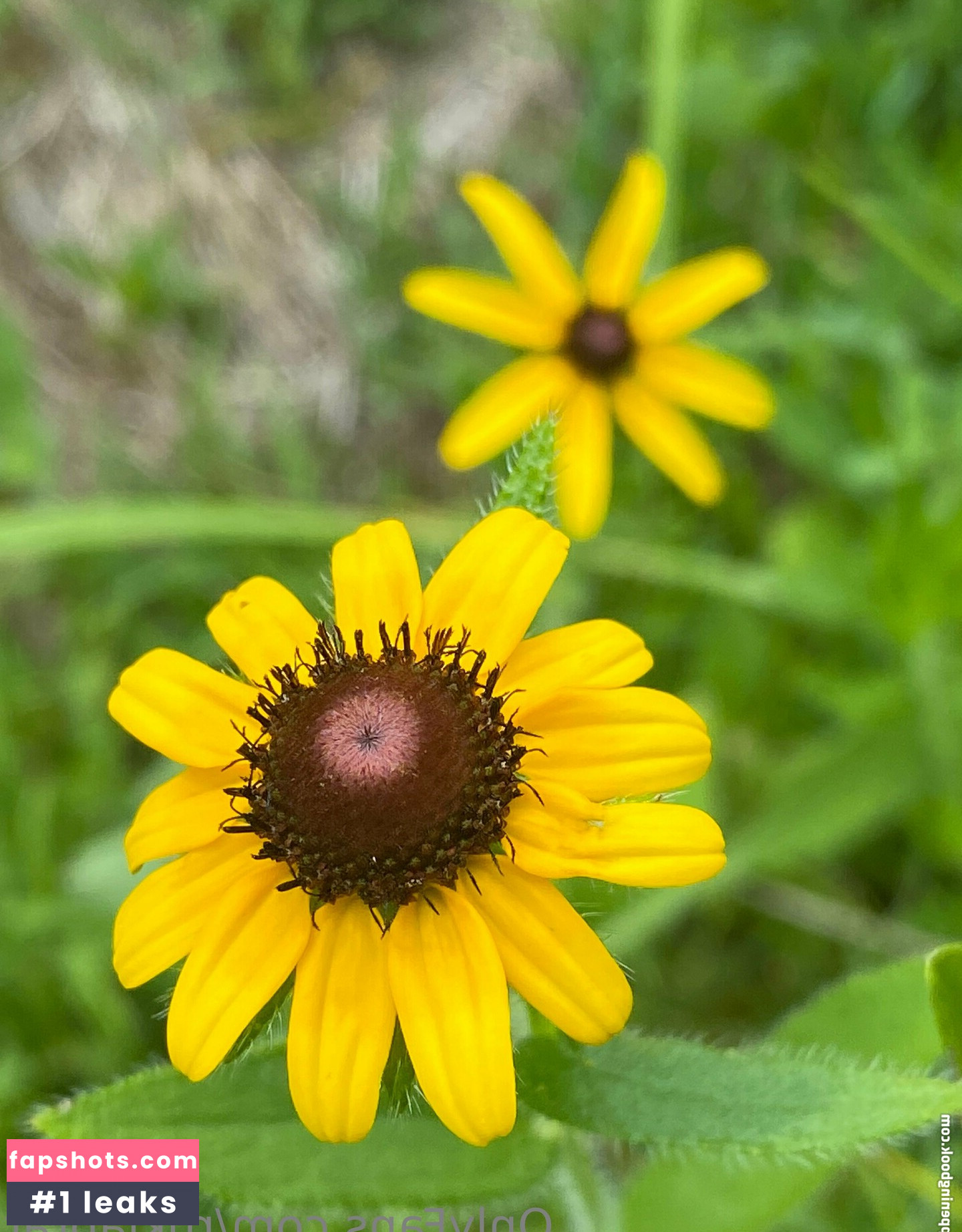 rukiabrat Nude Leaks OnlyFans Photos #2 - Fapshots