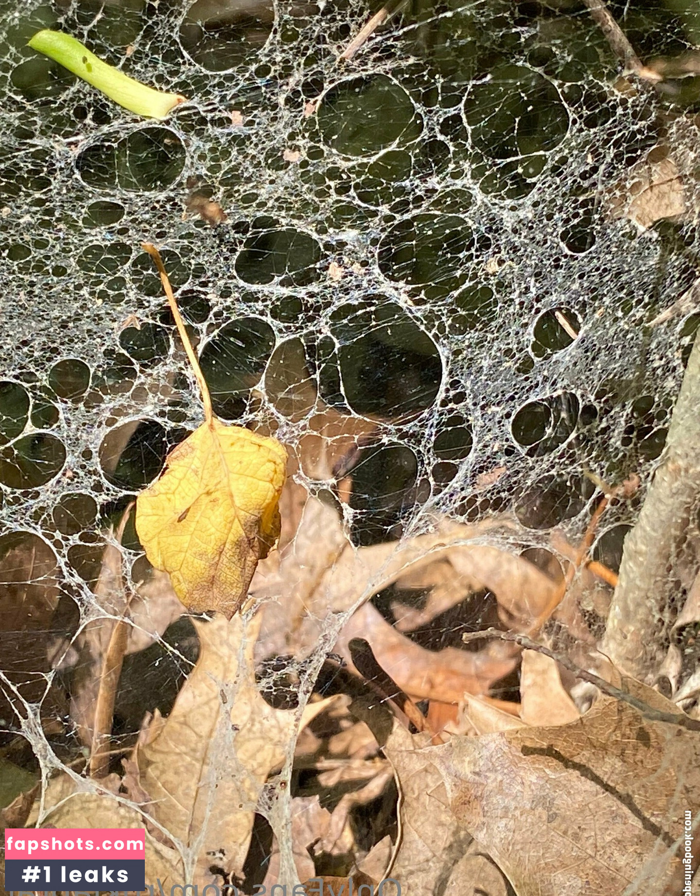 rukiabrat Nude Leaks OnlyFans Photos #14 - Fapshots