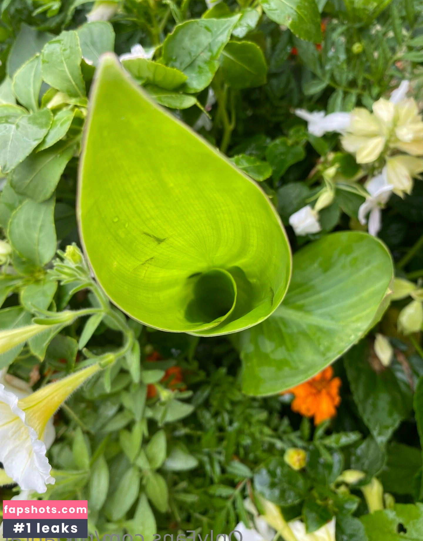 rukiabrat Nude Leaks OnlyFans Photos #15 - Fapshots