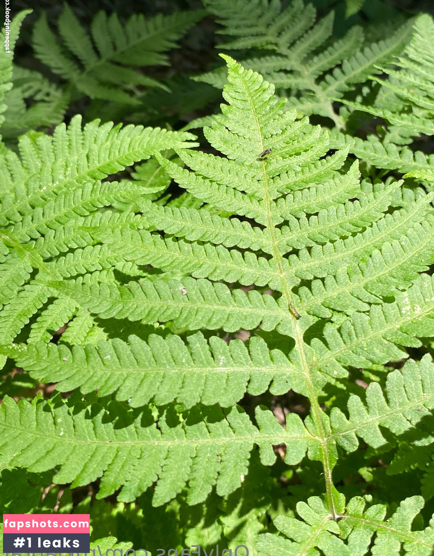 rukiabrat Nude Leaks OnlyFans Photos #19 - Fapshots